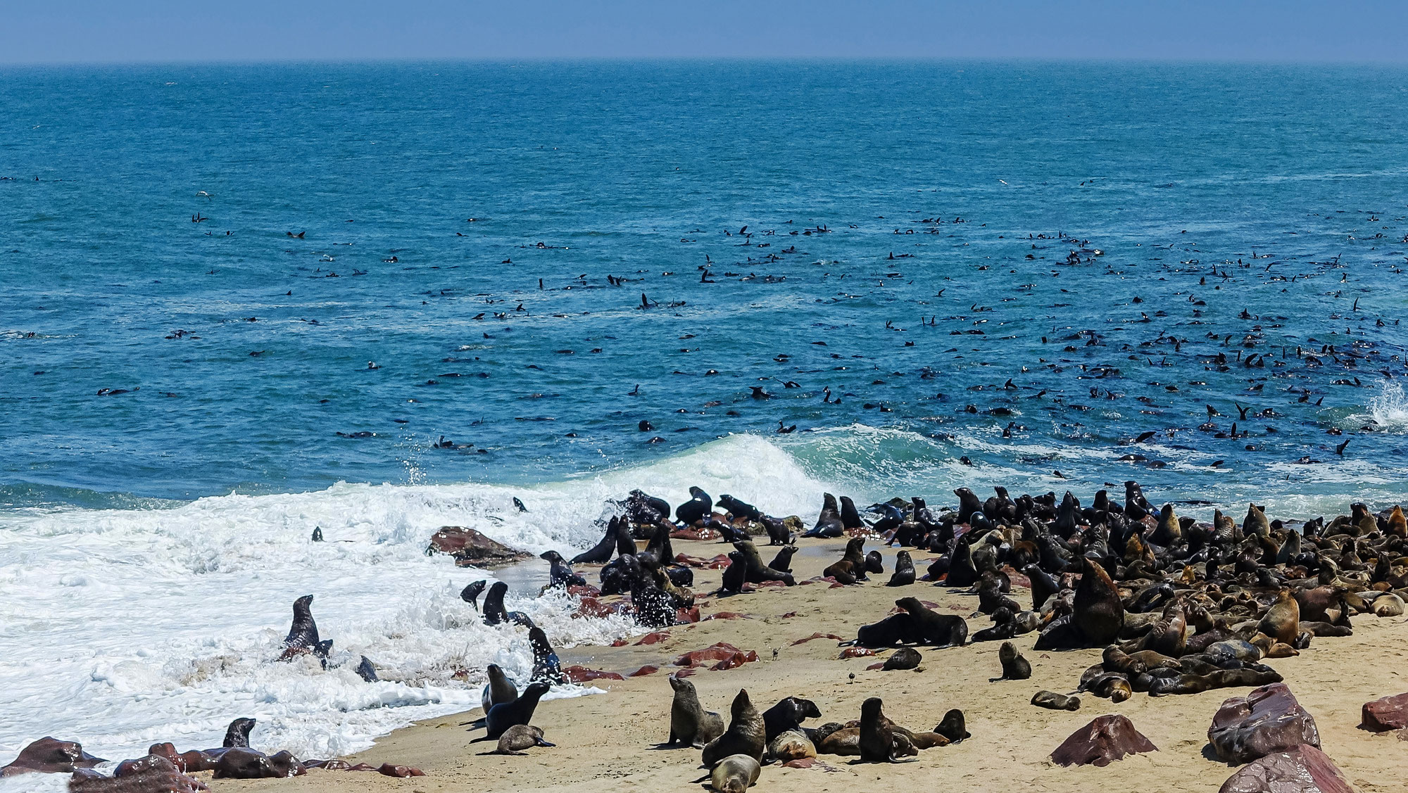 Cape Cross et Swakopmund