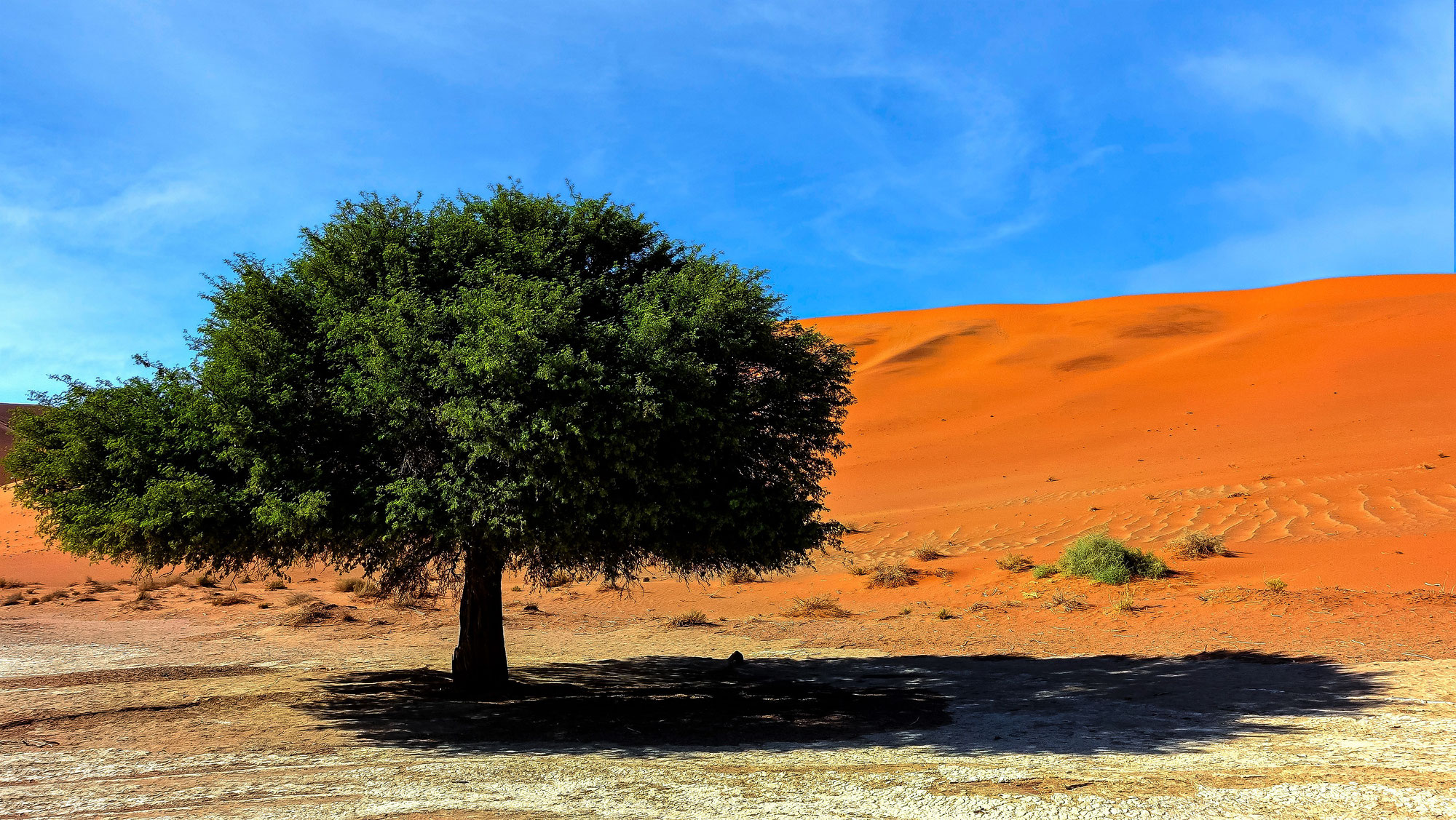 Sossusvlei et Deadvlei