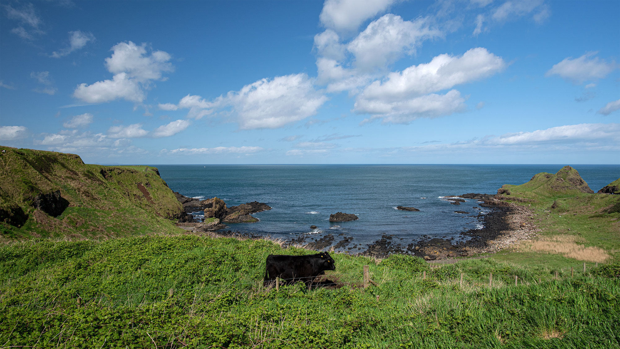 Le comté d'Antrim, du château de Dunluce à la chaussée des géants