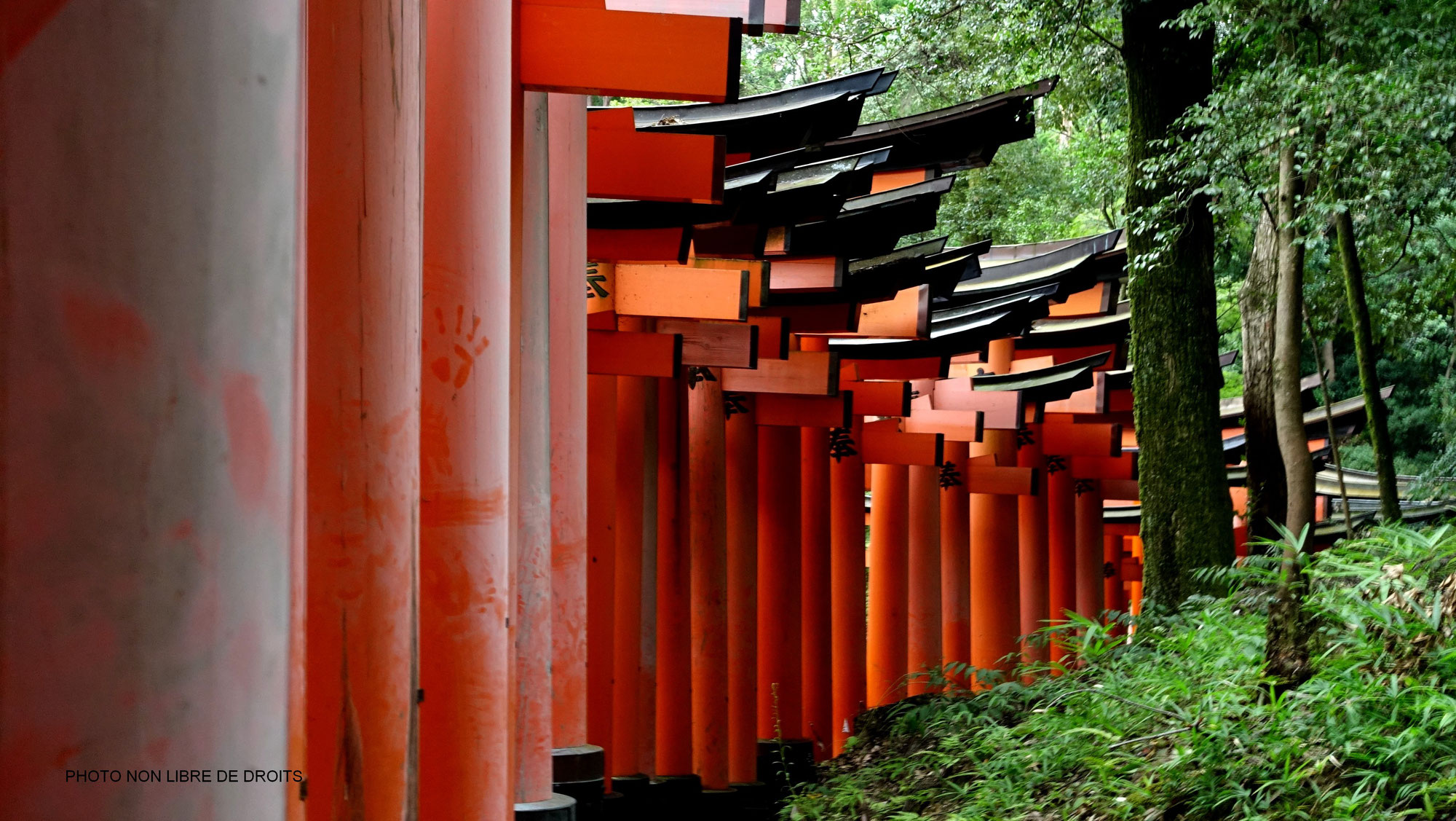 Fushimi Inari-Taisha, le sanctuaire de la Déesse Inari