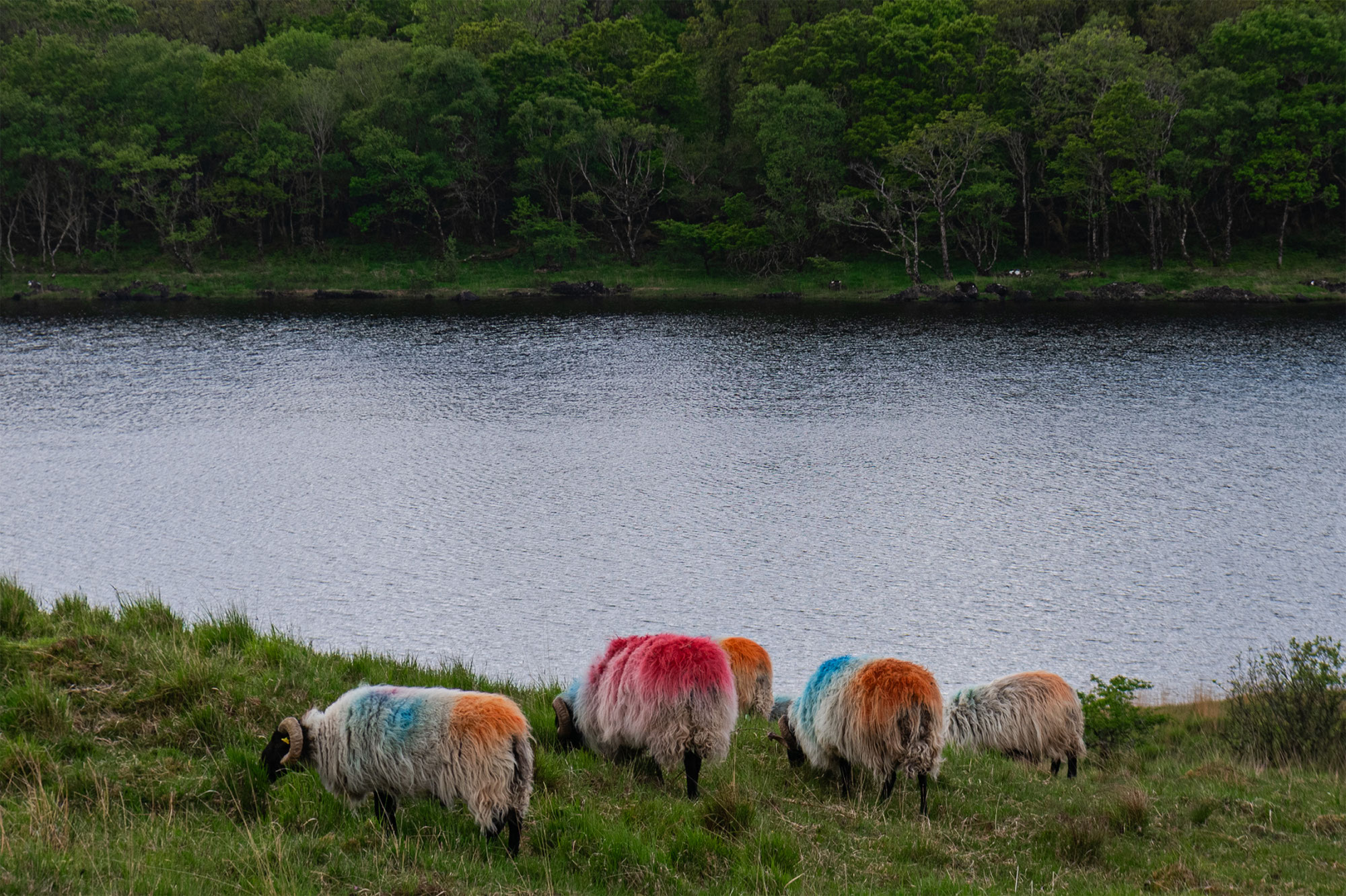 L'Irlande, la fin d'un voyage inoubliable