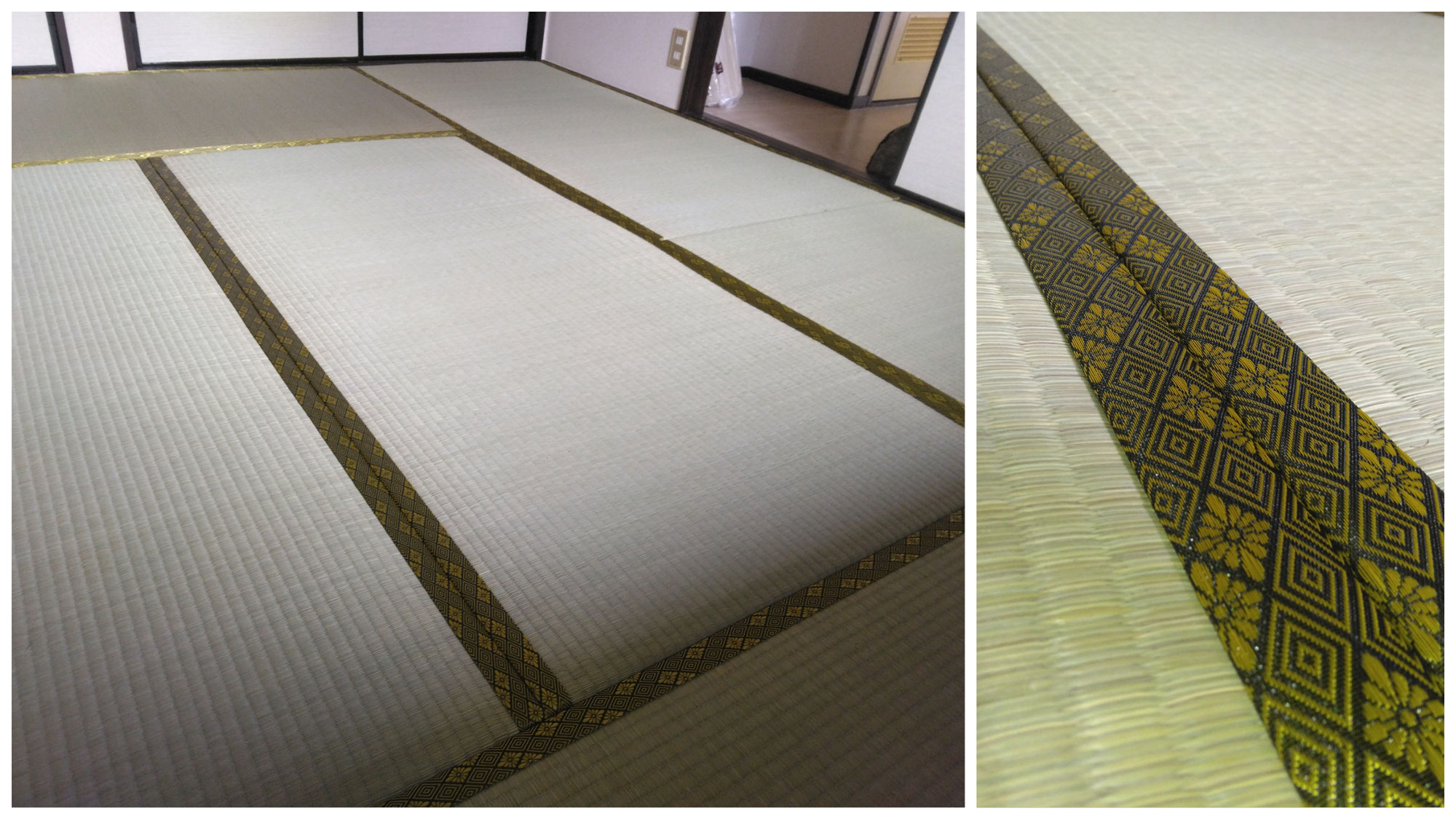 大宮縁　大宮ゴールド舛菊黒