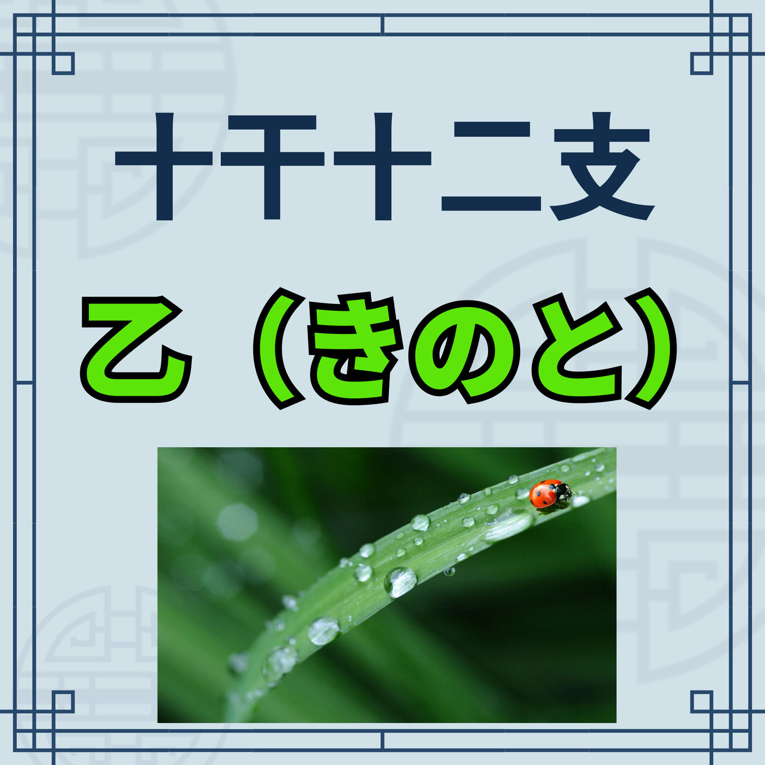 十干（じっかん） 乙（きのと） | 創造的思考と変化に適応する能力 | 東京都世田谷区の占い師 昭晴
