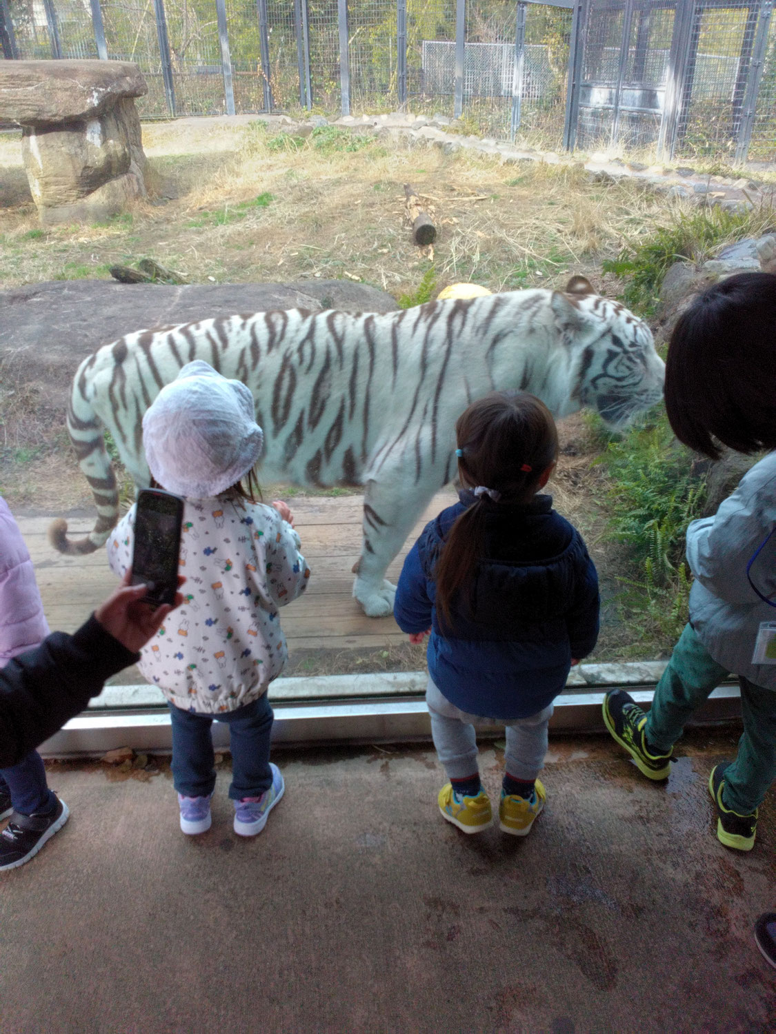 たくさん歩いたよ！　動物園(^-^)