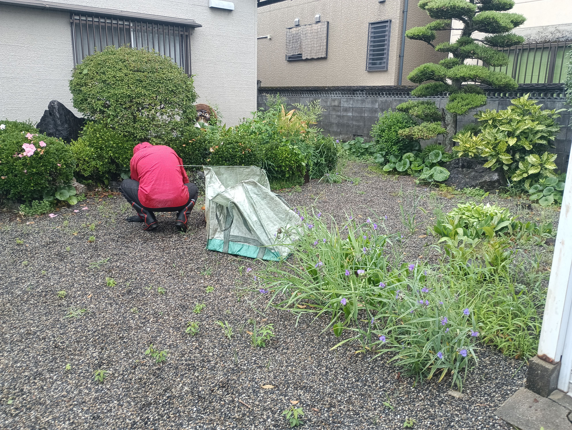伊賀市緑が丘にて草引き作業