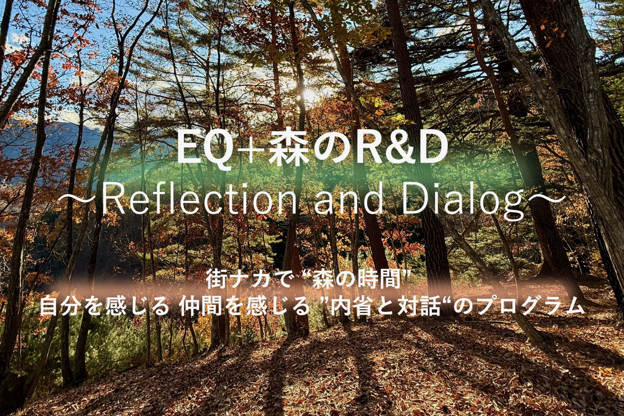 【Report｜EQ＋森のR&D】「リテラシー」と「つながり」を育む ”森の時間”