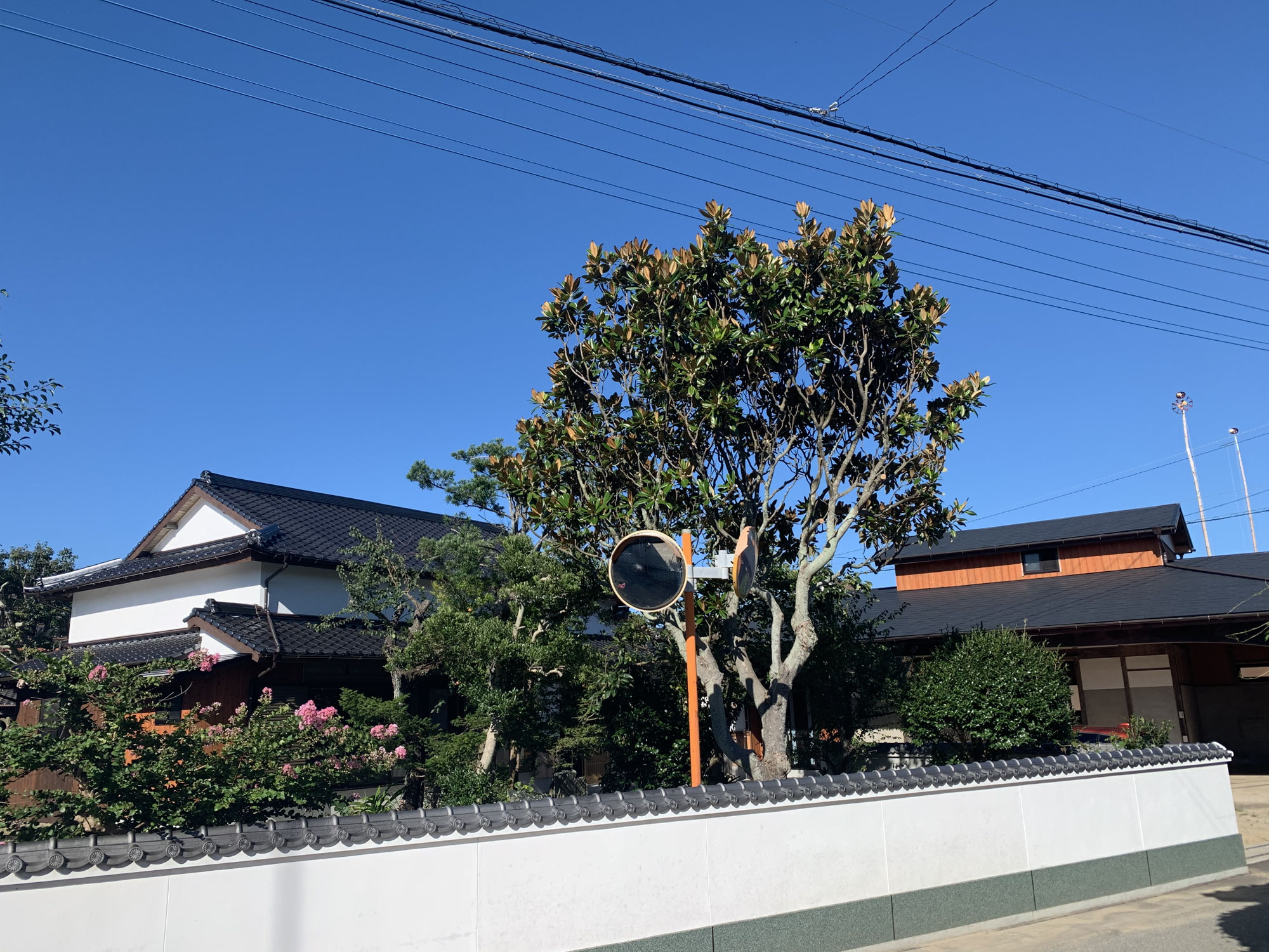 糸島に引っ越してきました！