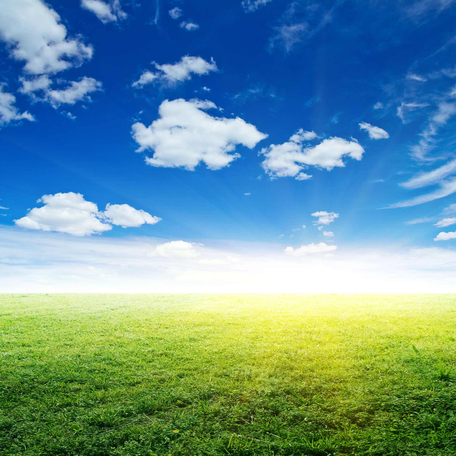 Achselpads - SCHWITZEN.SHOP