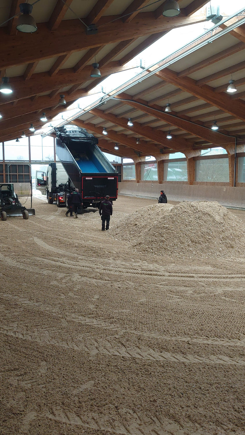 Erneuerung des Hallenbodens