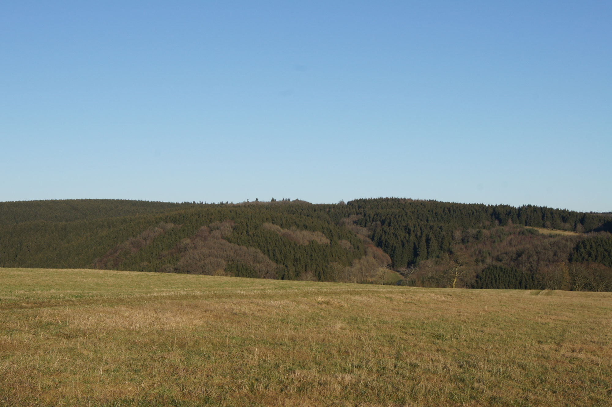Bei Lonnen