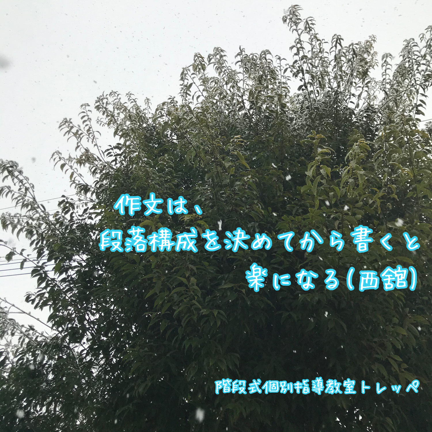 作文は、段落構成を決めてから書くと楽になる(西舘)【高校受験】【トレッペ講師陣より】