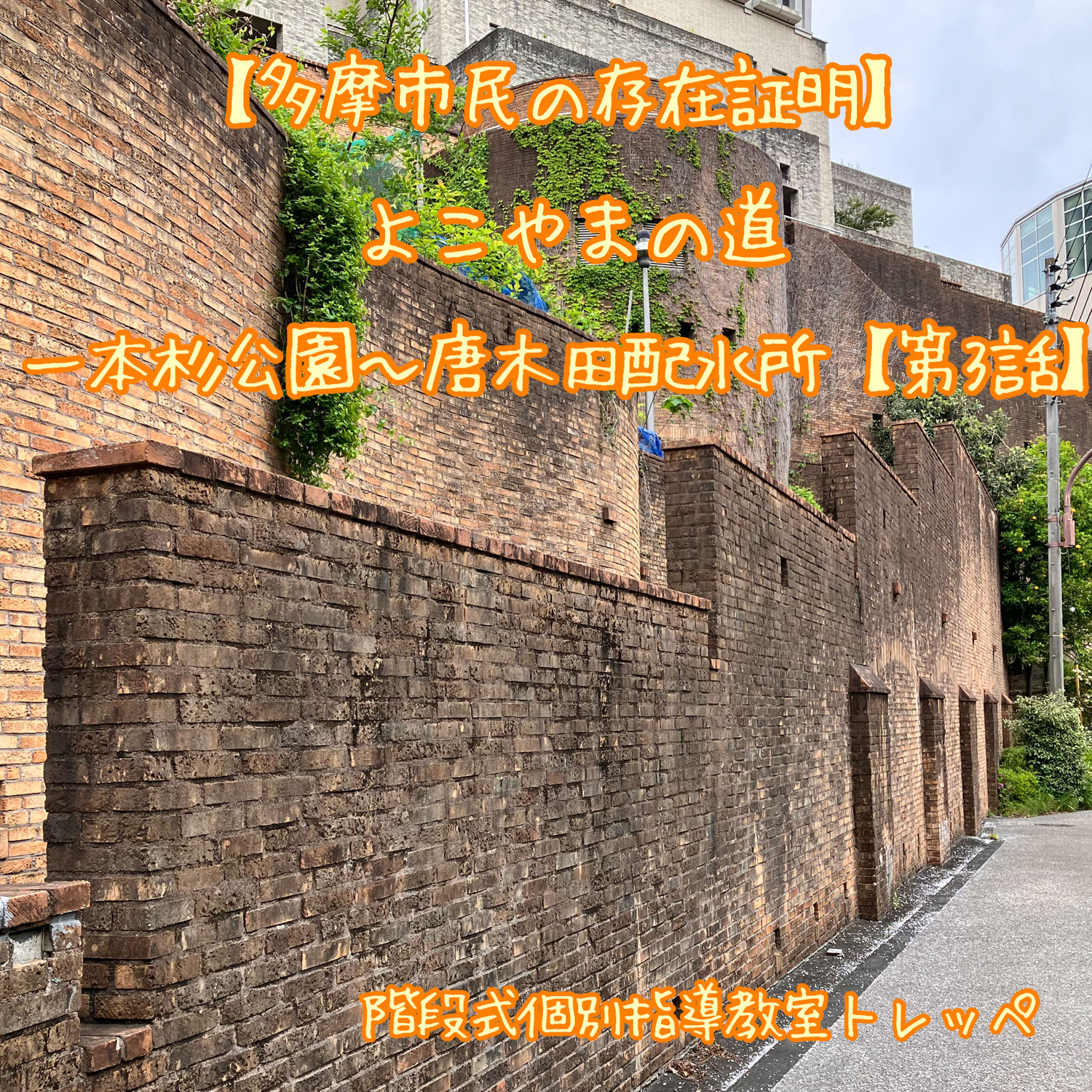 【多摩市民の存在証明】よこやまの道　一本杉公園～唐木田配水所【第3話】