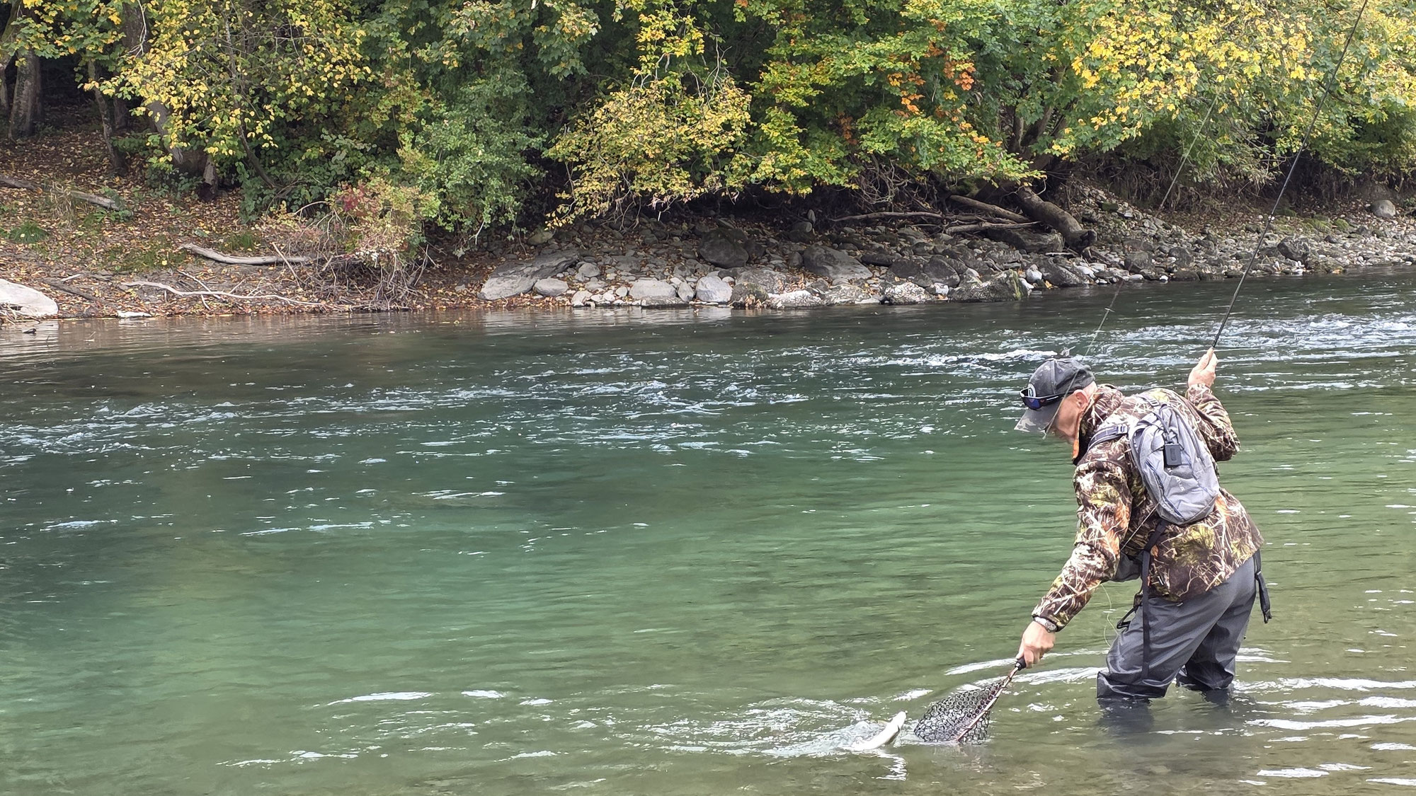 Äschenfischen an der Aare