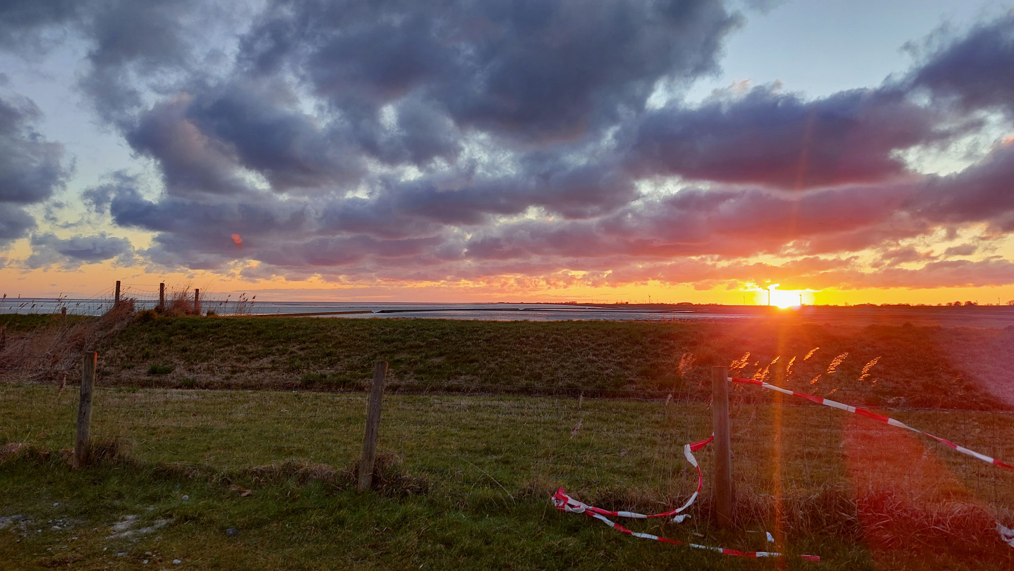Neuharlingersiel - der Sonne entgegen