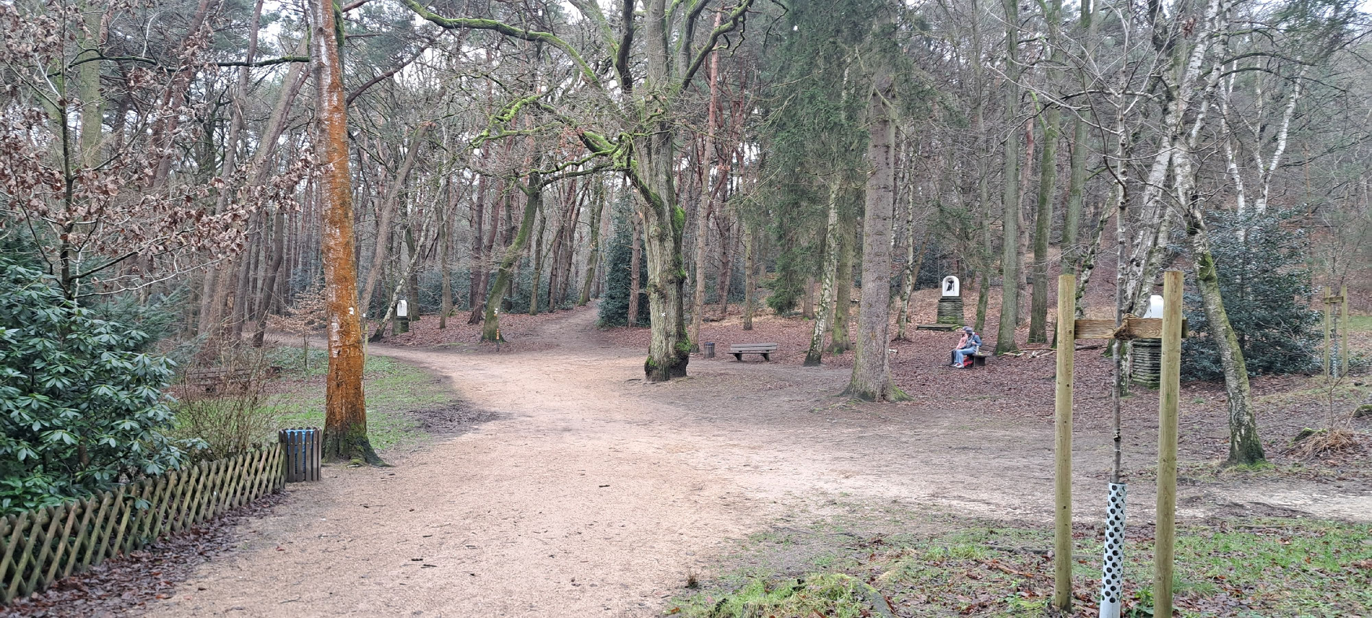 Wanderung im Birgeler Urwald