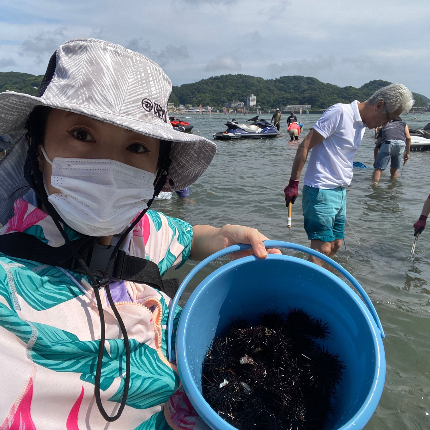 磯焼け対策プロジェクト｜神奈川県逗子市