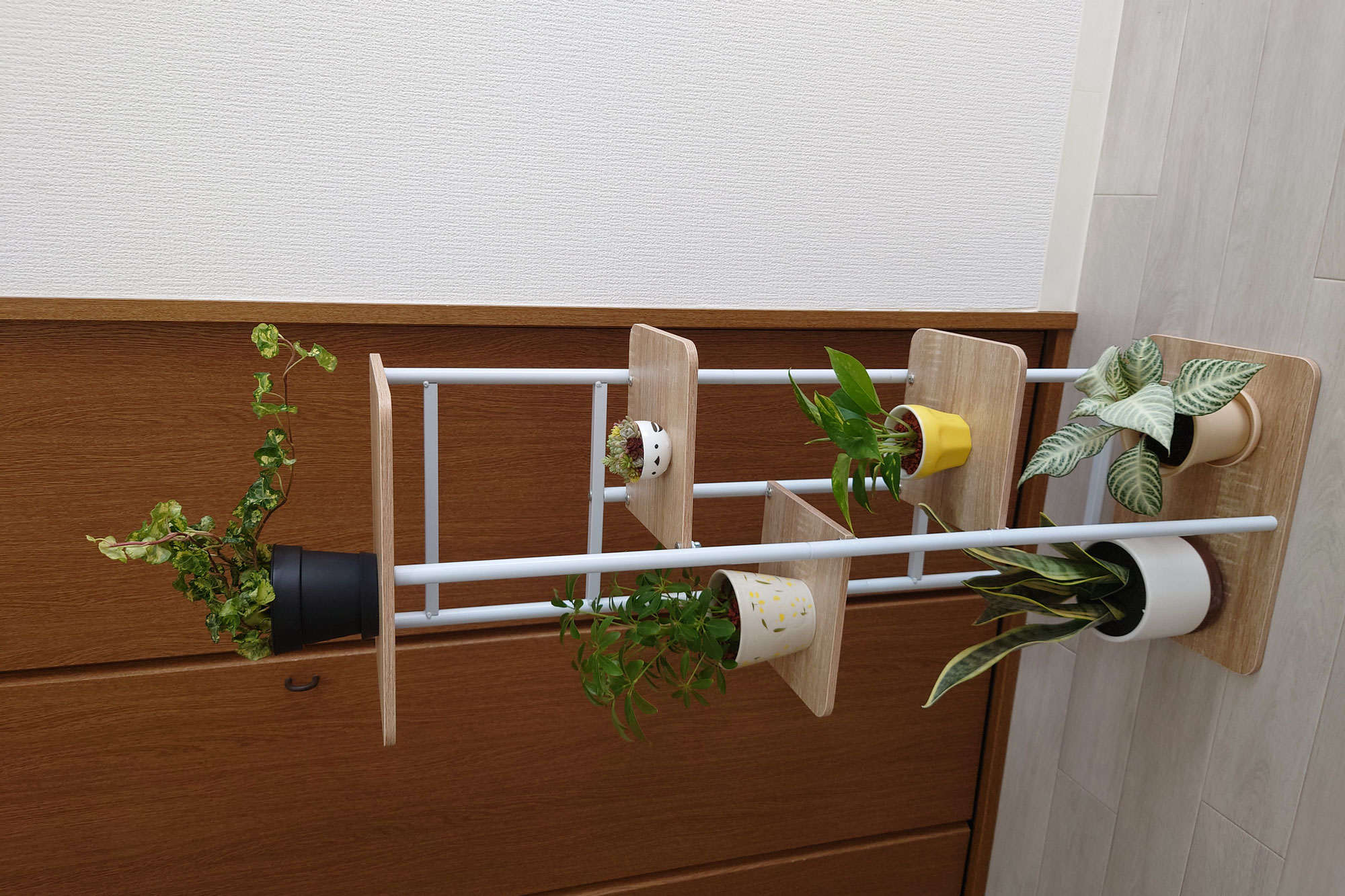 ホームページが完成しました！　ご予約、お待ちしております。