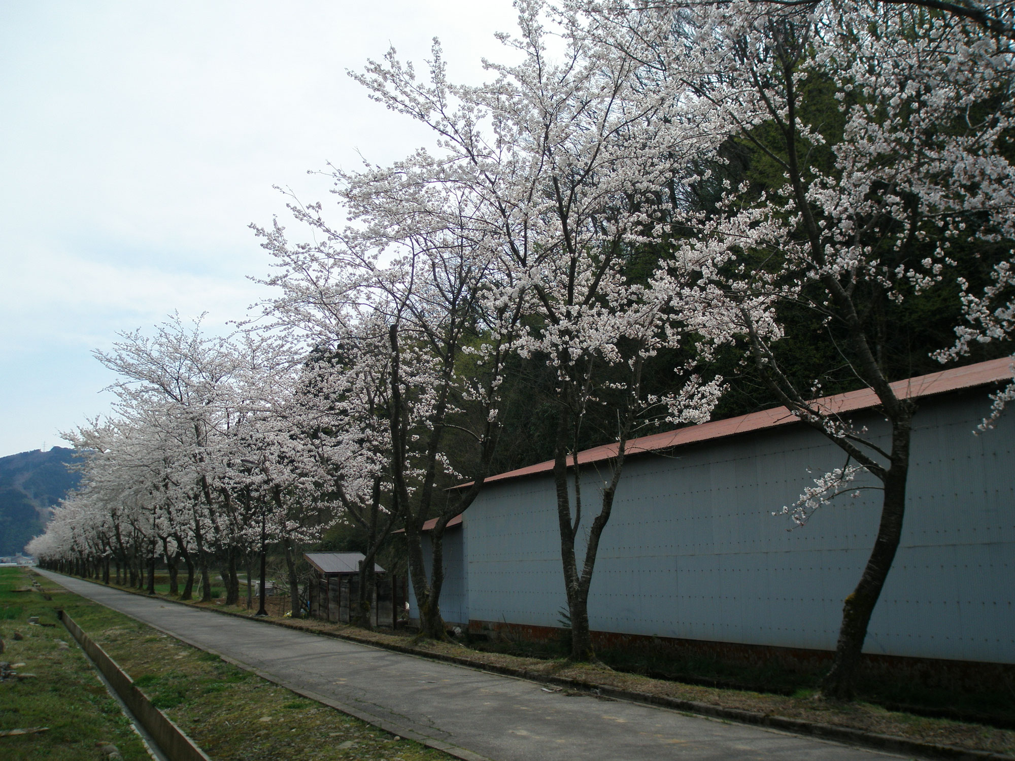 2009年４月のブログ
