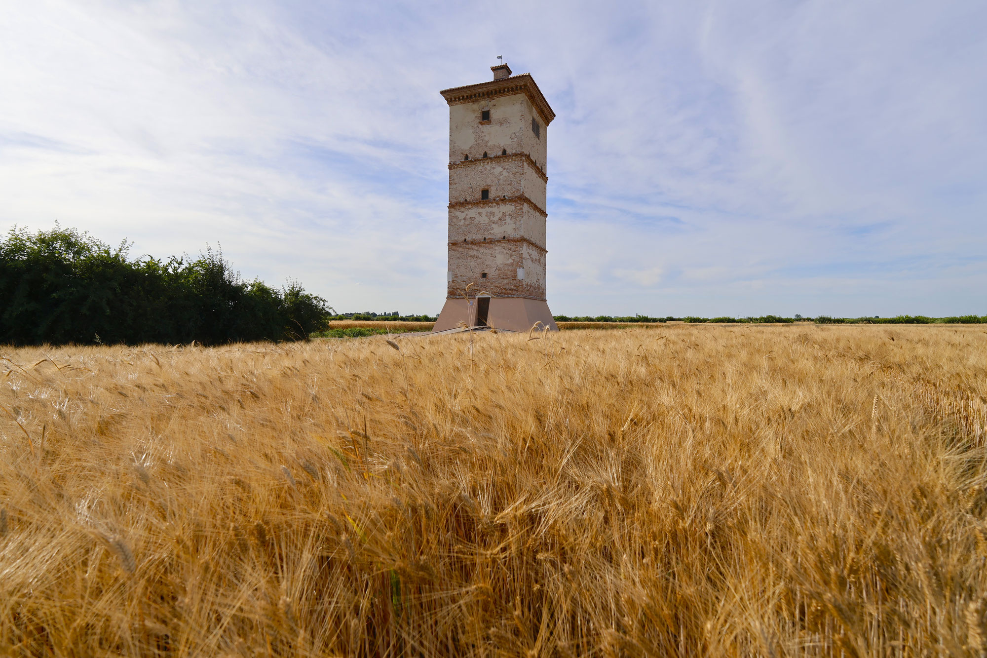 A Pontecchio Polesine nasce il primo ecomuseo agricolo verticale d’Europa: la Torre Colombara di Ca’ Salvioni