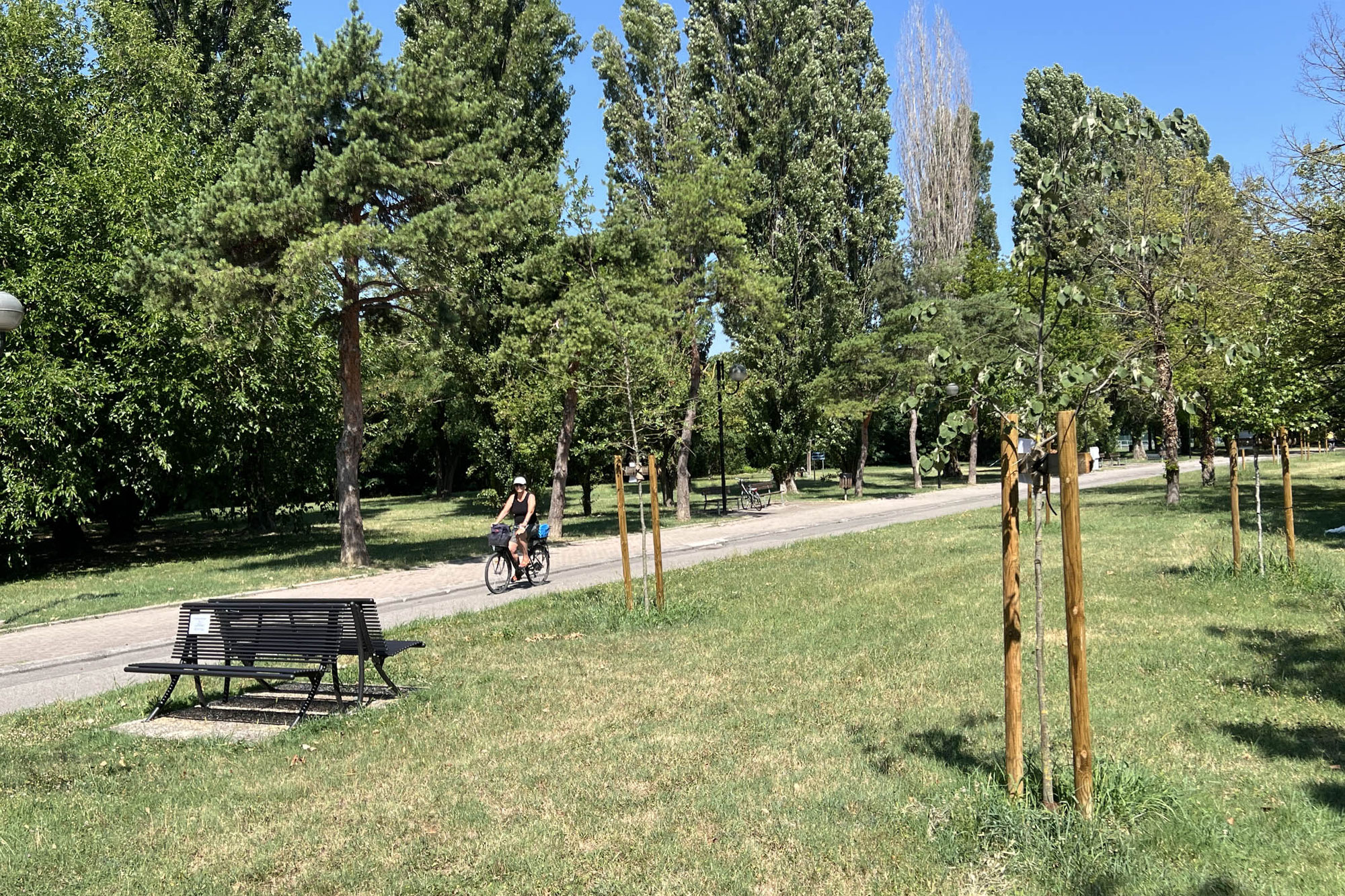 Agricoltura sociale e verde urbano