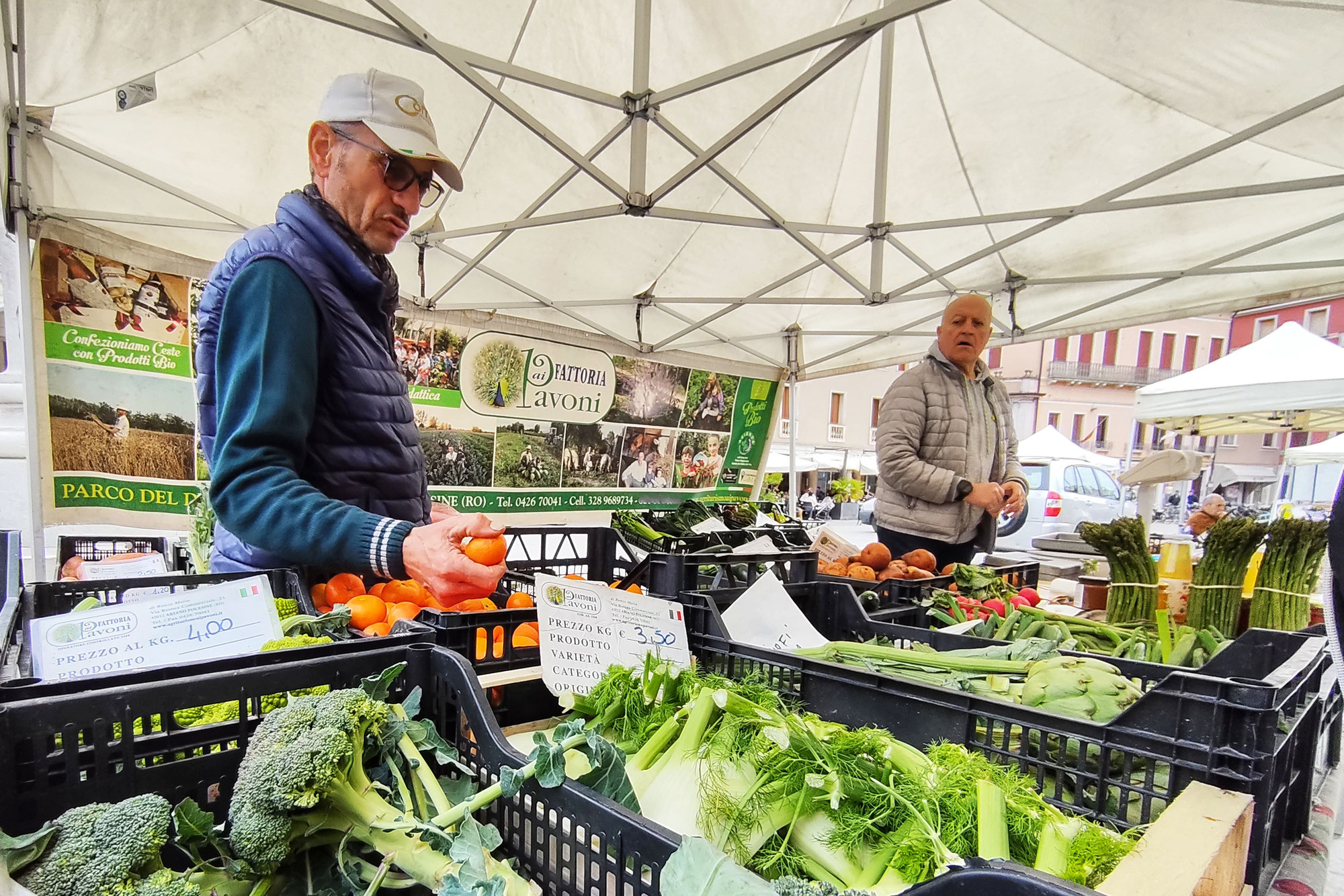 FARMERS MARKET, CRESCITA RECORD!