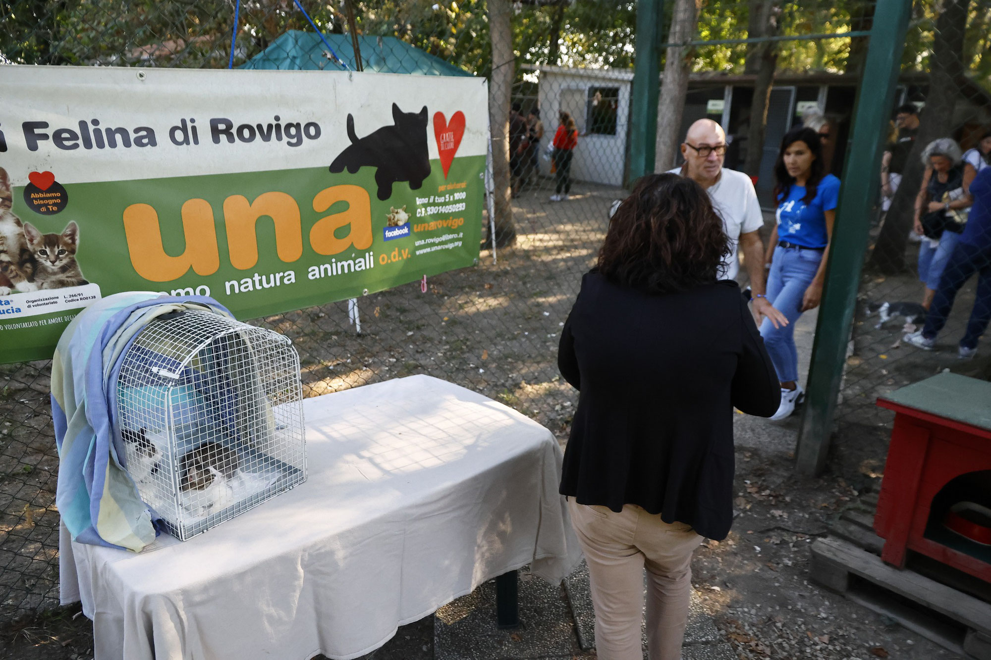 I Volontari di Oasi Felina UNA fanno appello