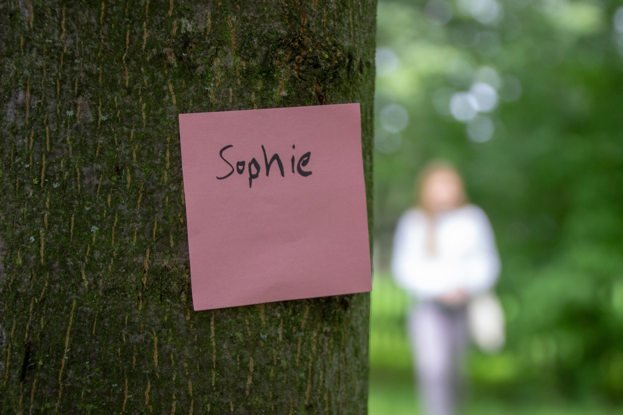 TOMBSTONES AND STICKY NOTES