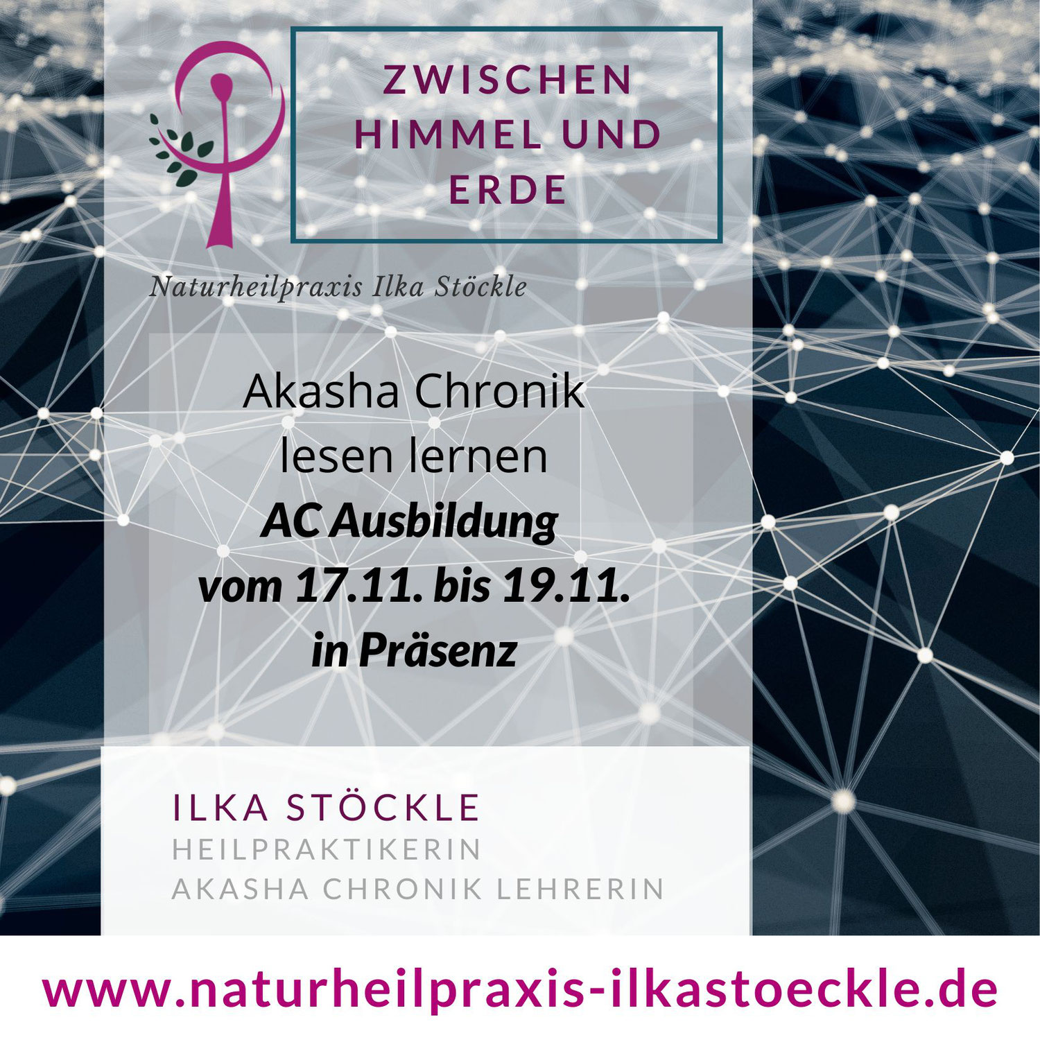 Das intelligente Feld - Akasha Chronik