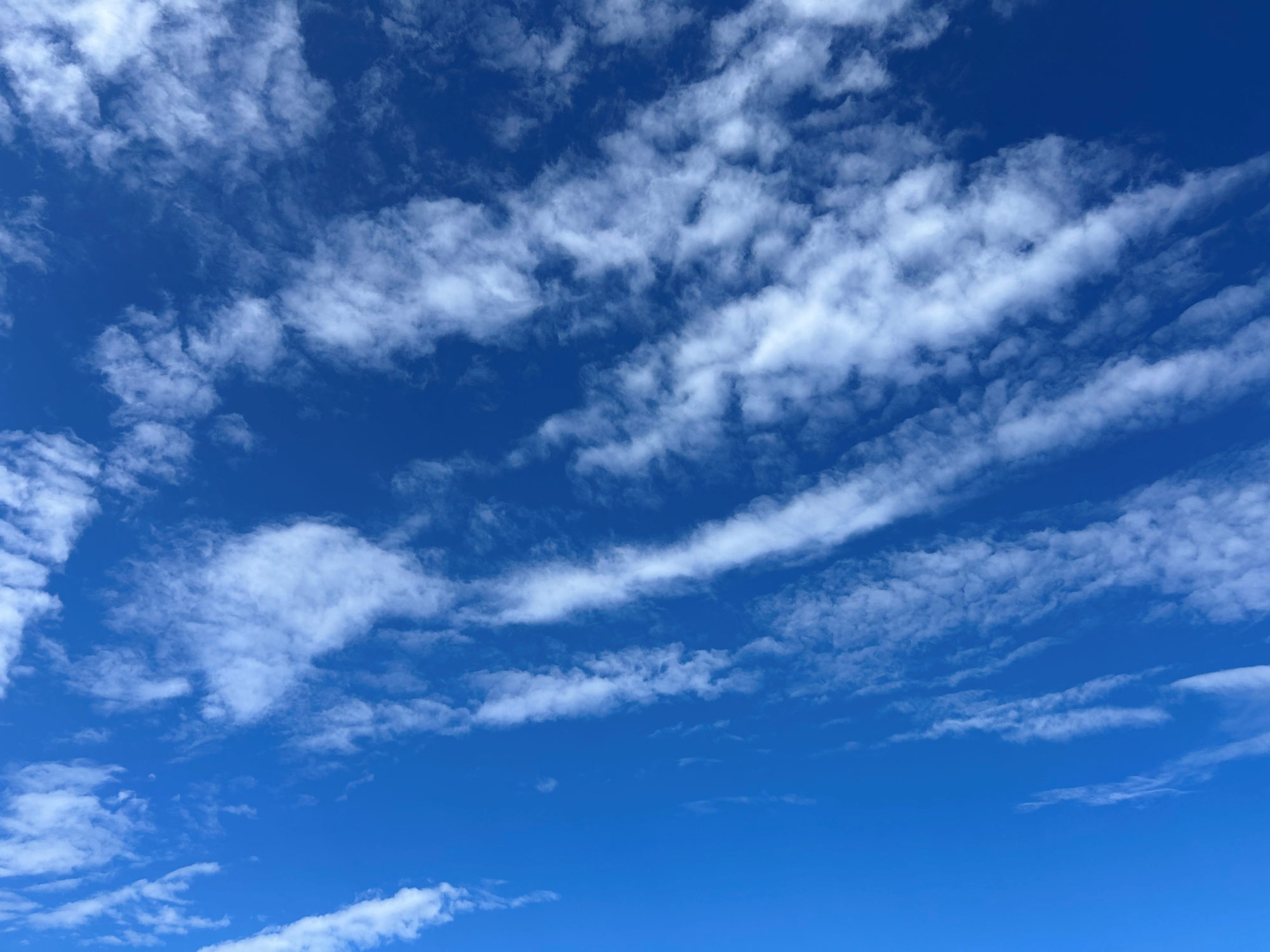 Under The Same Sky（同じ空の下で）