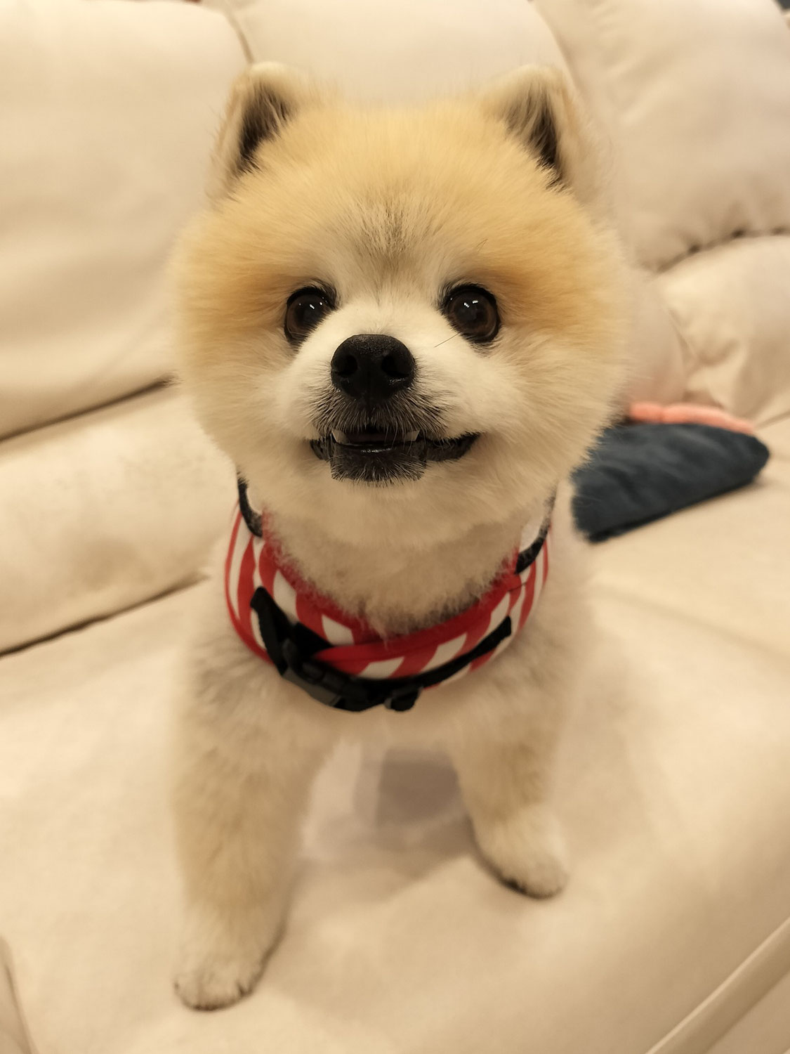 周囲の人たちの思いやり