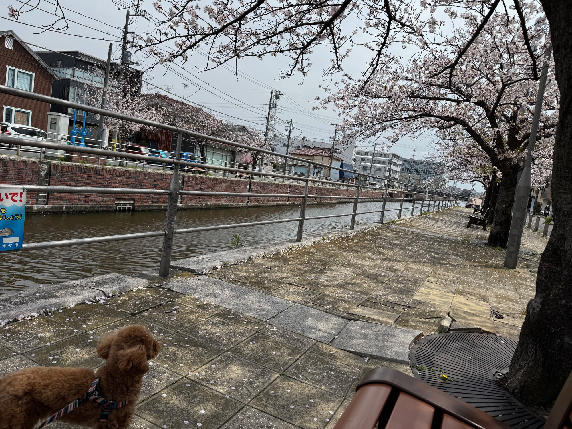 あれから１年、これから１年