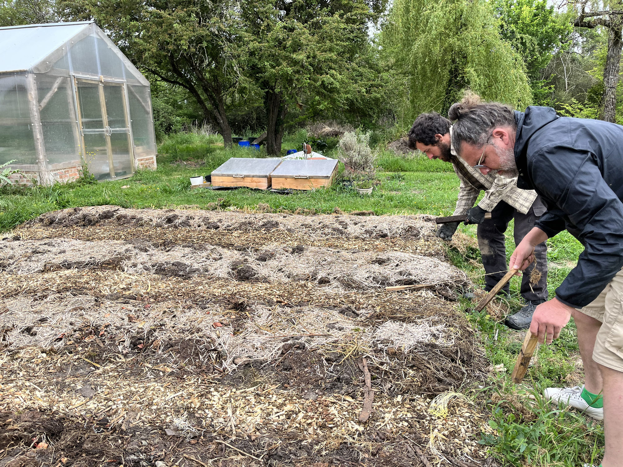 Potager participatif : venez jardiner à l'Ecolieu