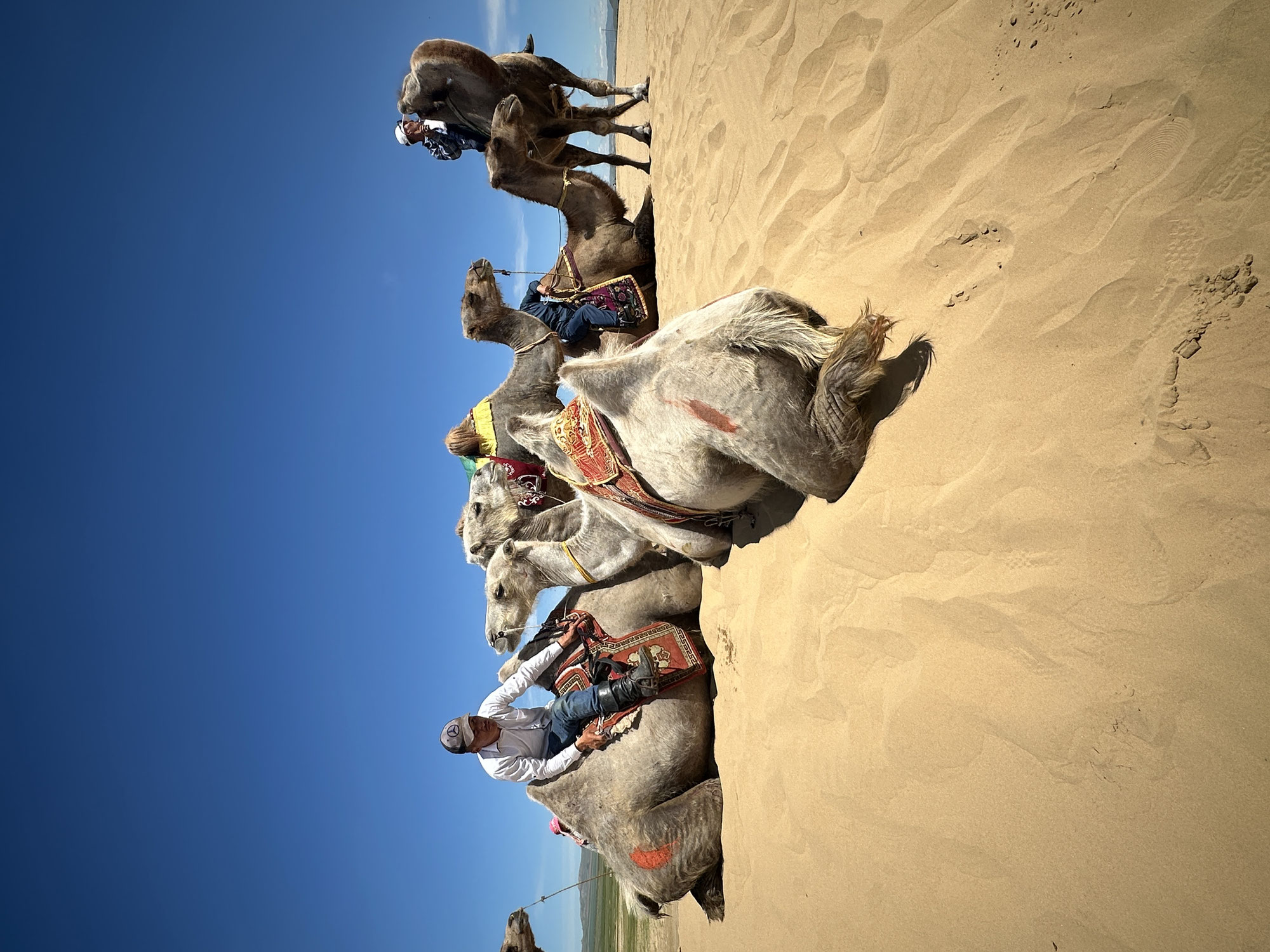 VC Gotha in der Mongolei: Tag 5 und 6