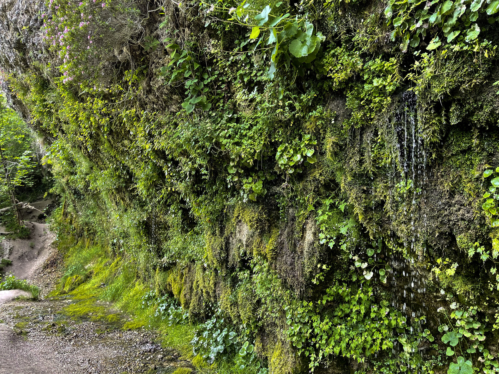 Die rinnende Mauer