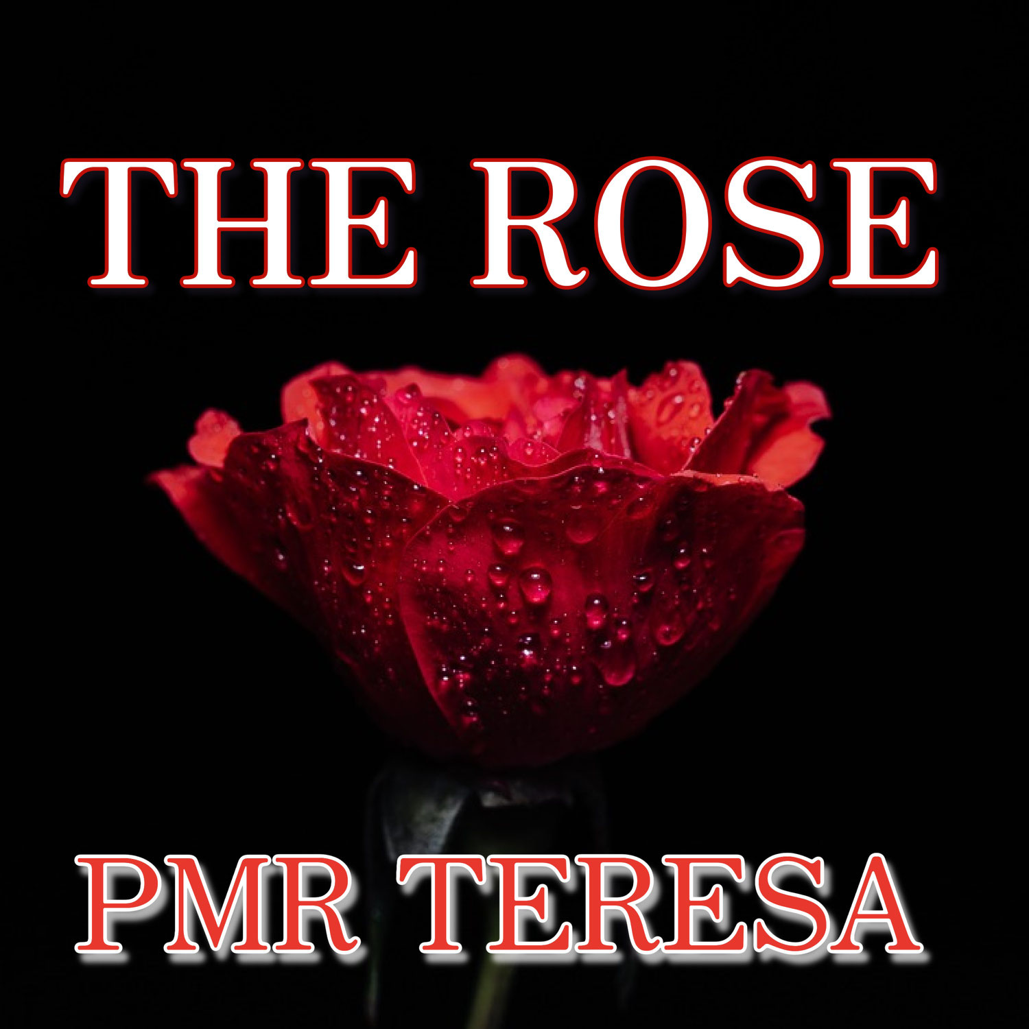 Cover " The Rose - PMR Teresa "のミュージックビデオ、本日リリースしました。