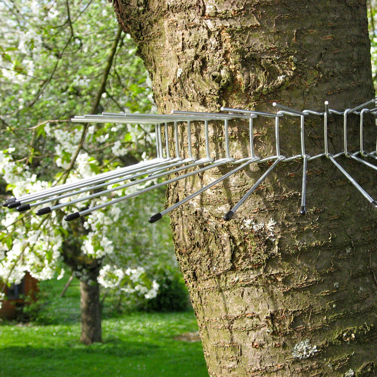 Vogelschutz im eigenen Garten – Maßnahmen & Checkliste