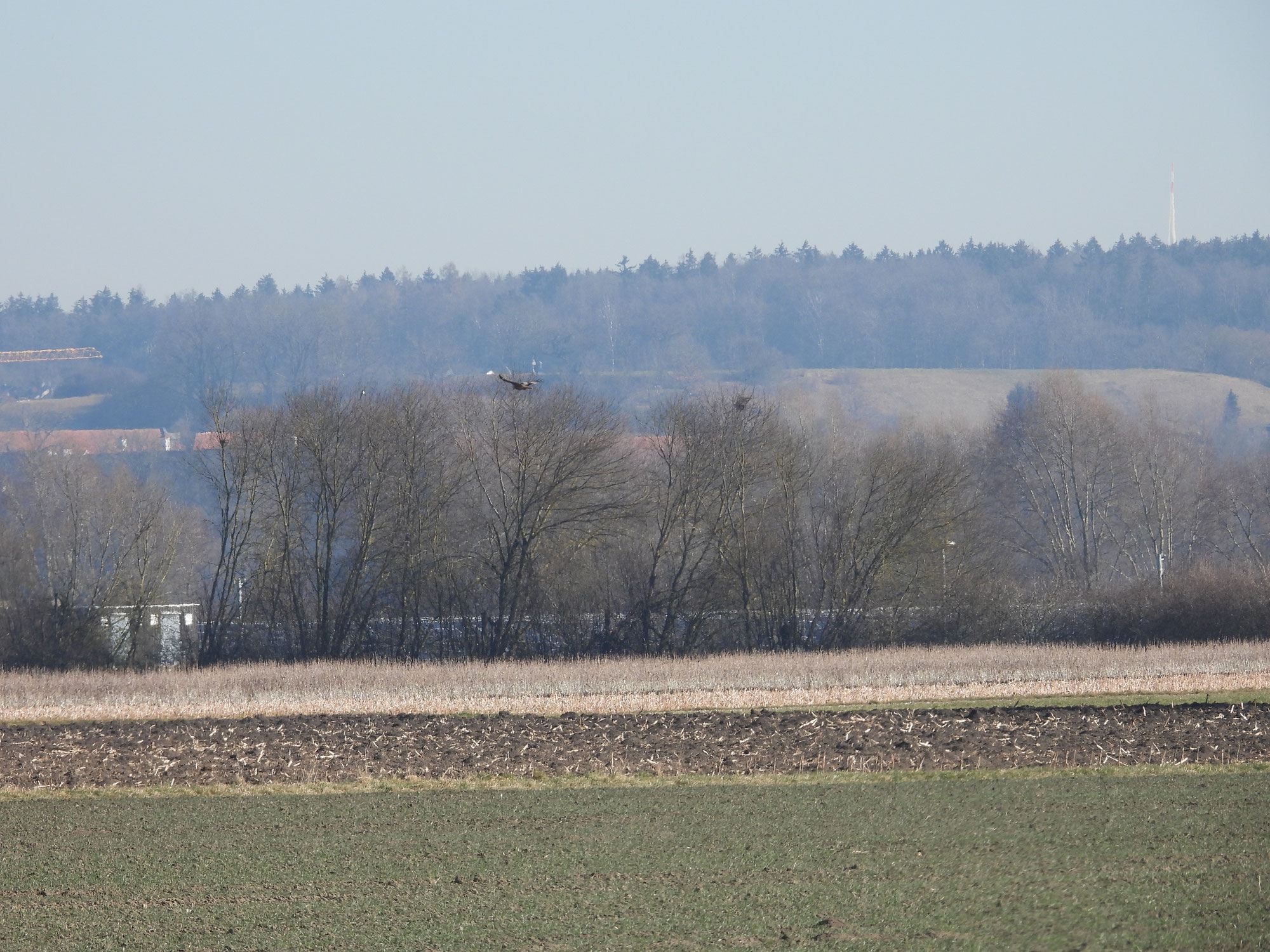 Kurswechsel in der Agrarpolitik