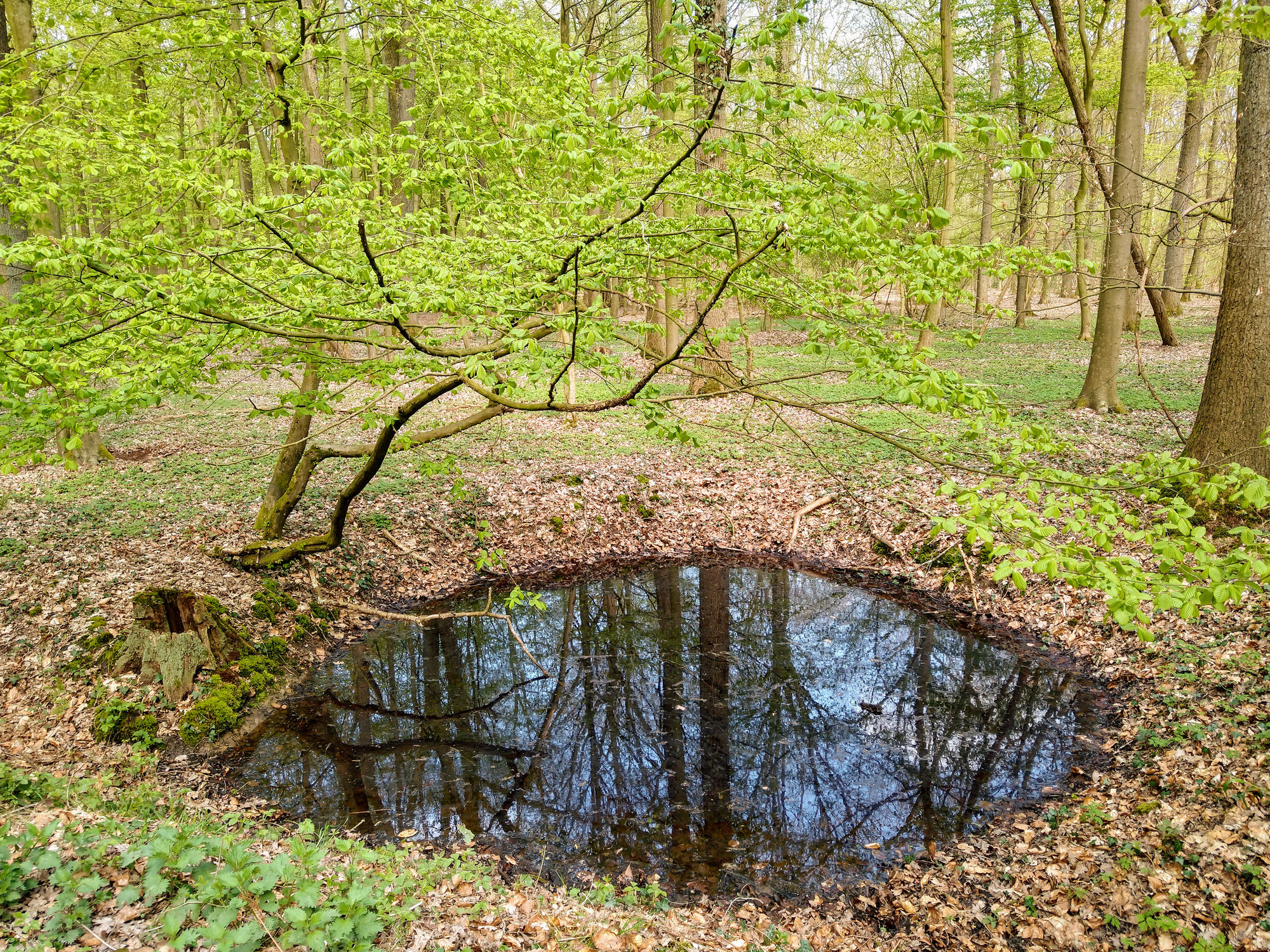 Warum ich es liebe, Intuition und Tiefenentspannung miteinander zu verbinden