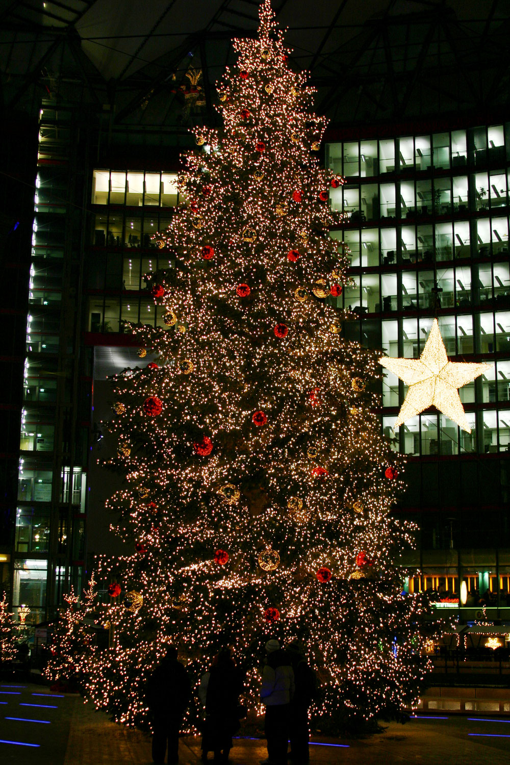 Welcher Weihnachtsbaum ist der beliebteste in Deutschland?