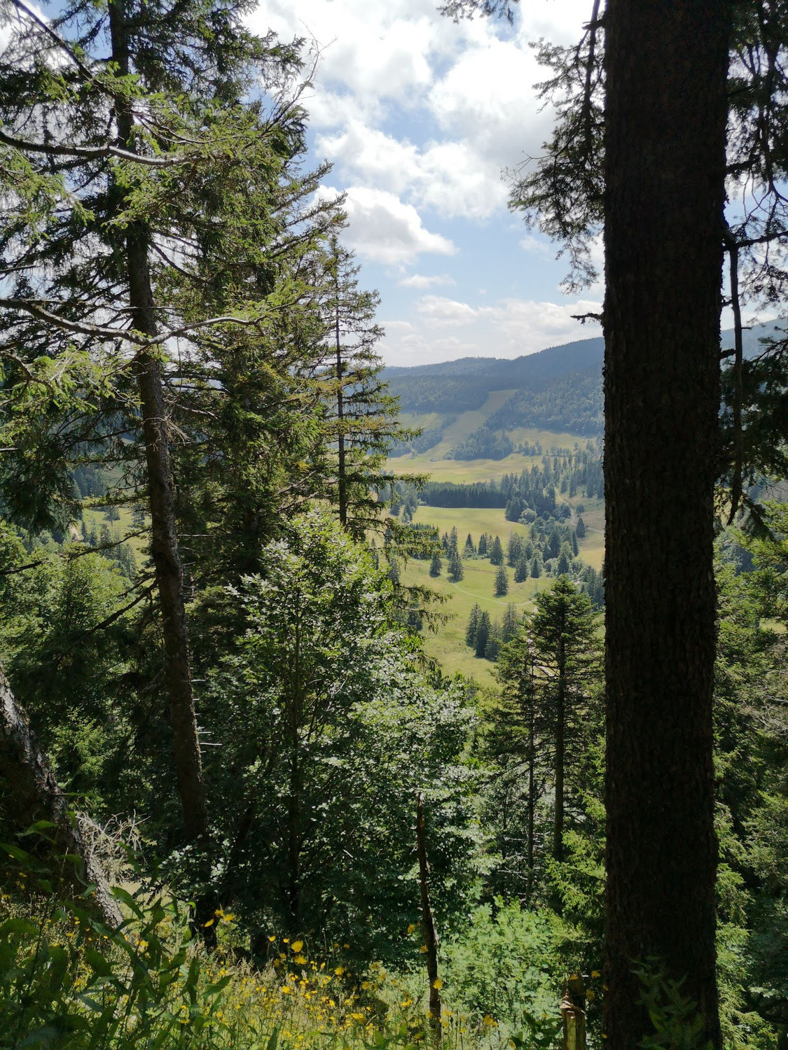 Fasten im Schwarzwald