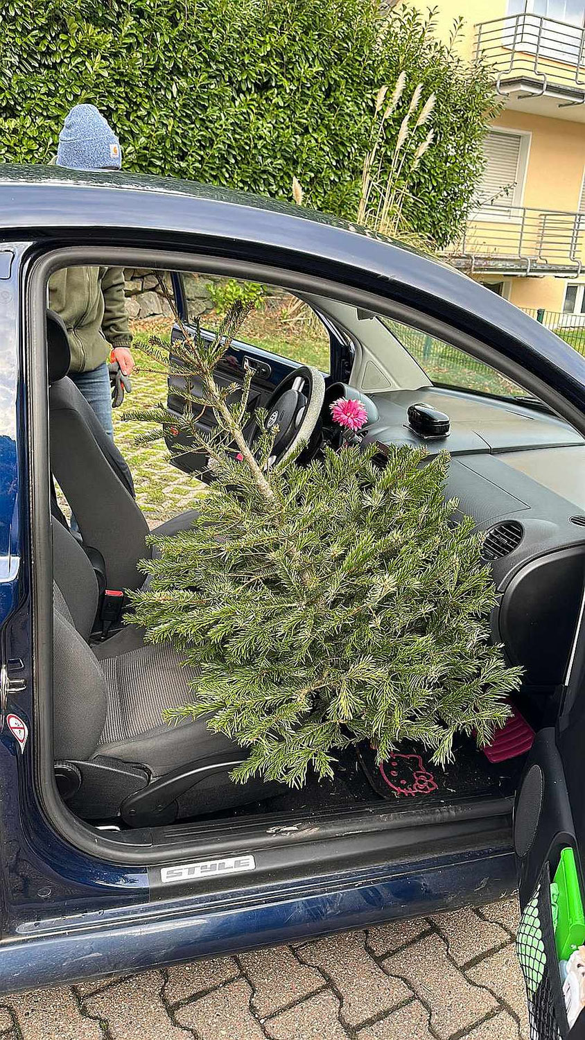 Weihnachtsbaumaktion der Pfadfinder