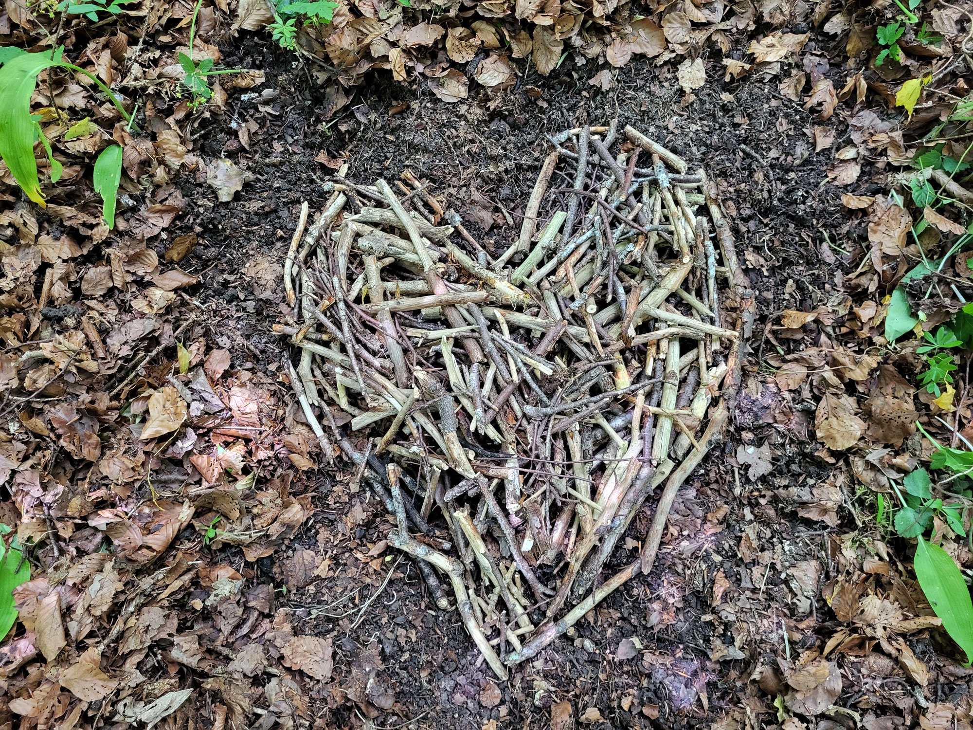 Rückblick auf eine spezielle Projektwoche vom Juni 2025