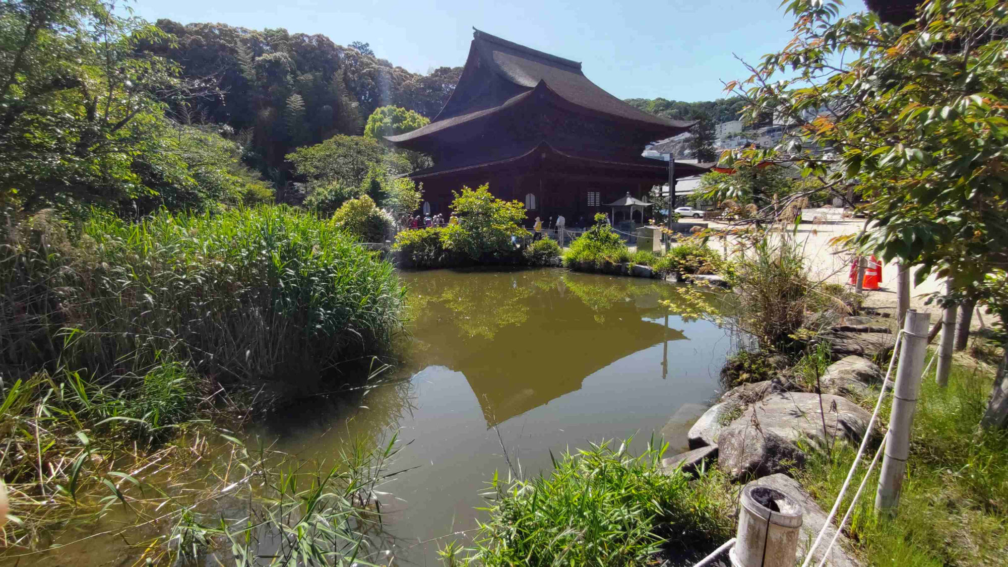 2026/05/10　記録写真　不動院・牛田バラ園