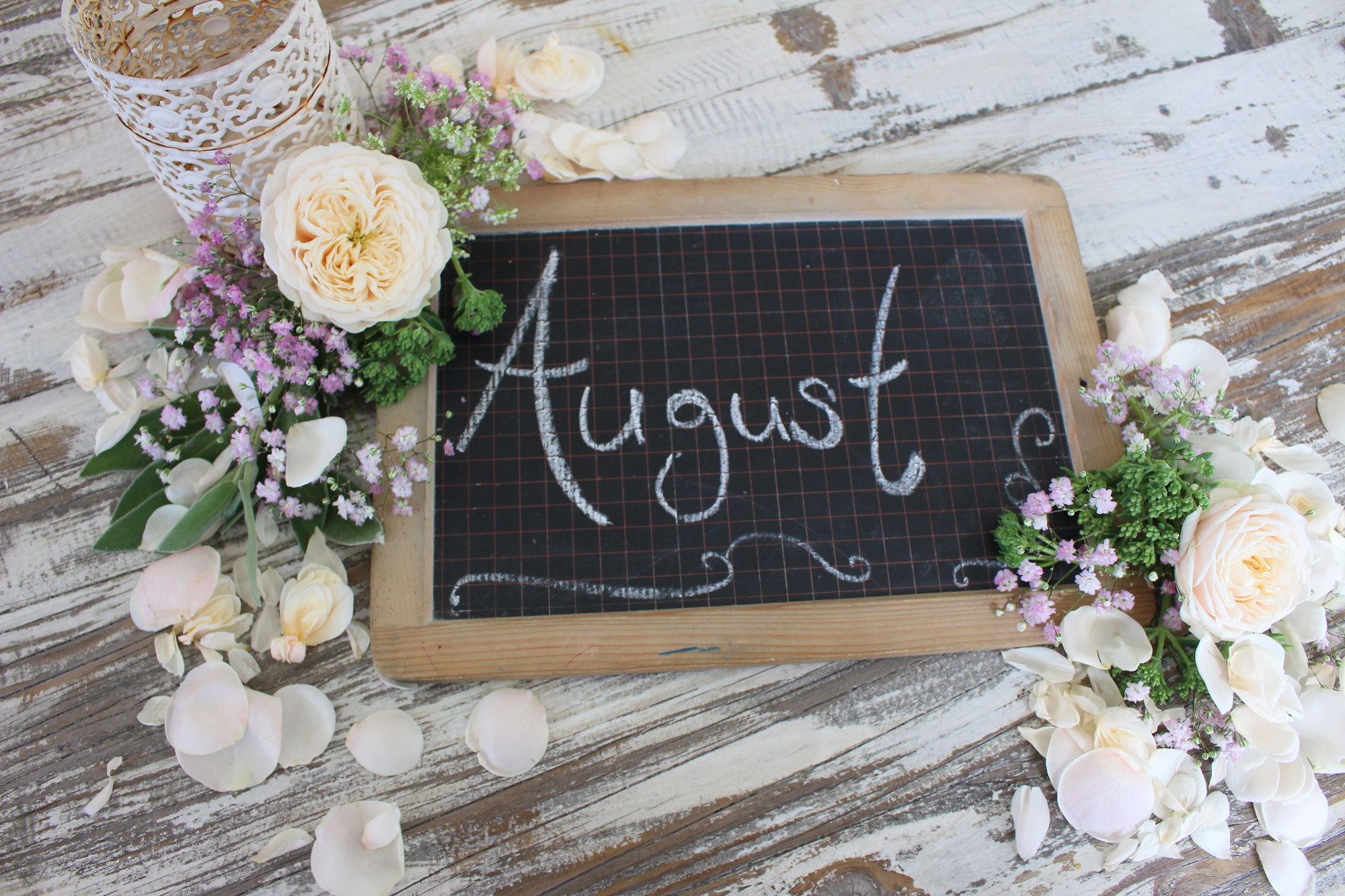 #August Garten