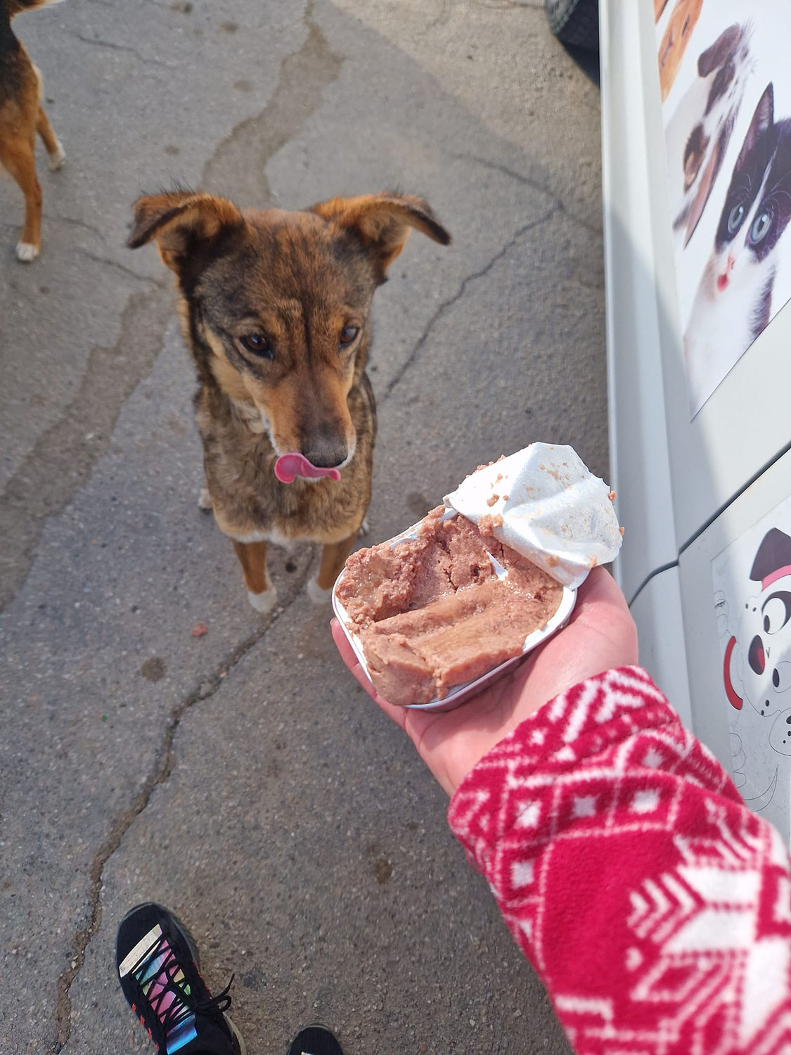Hilfe für Tiere in der Ukraine