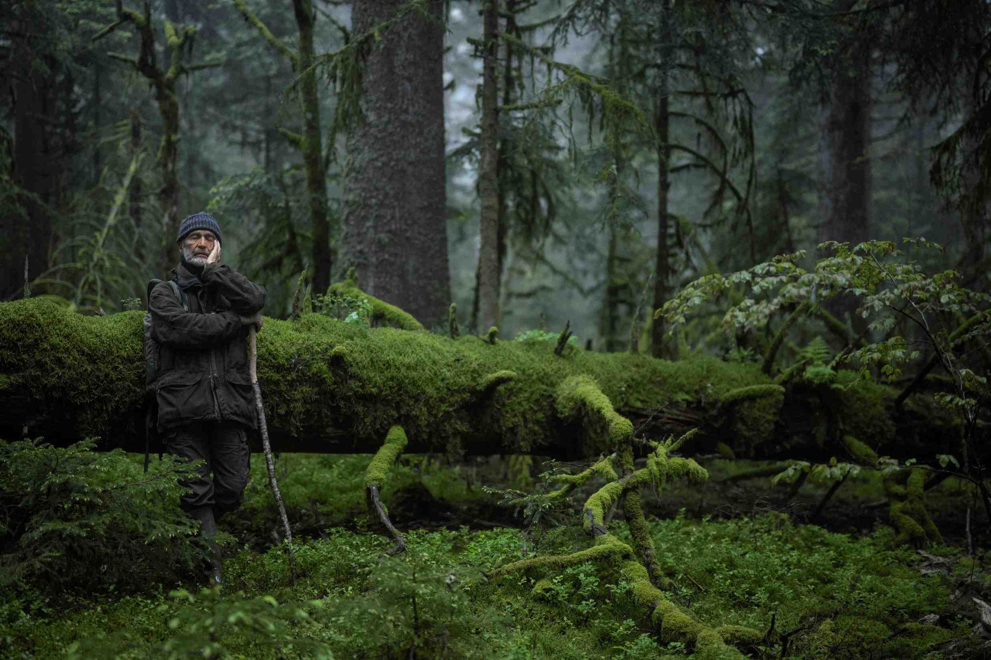 Kinostart im Februar 2026:  „Das Flüstern der Wälder“