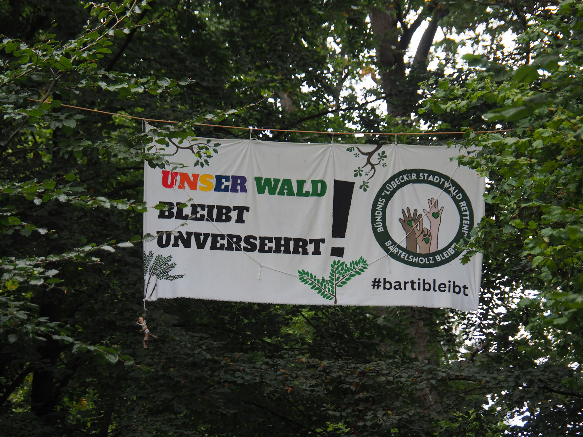 #Barti bleibt - Kein Waldopfer für die Energiewende in Deutschland!