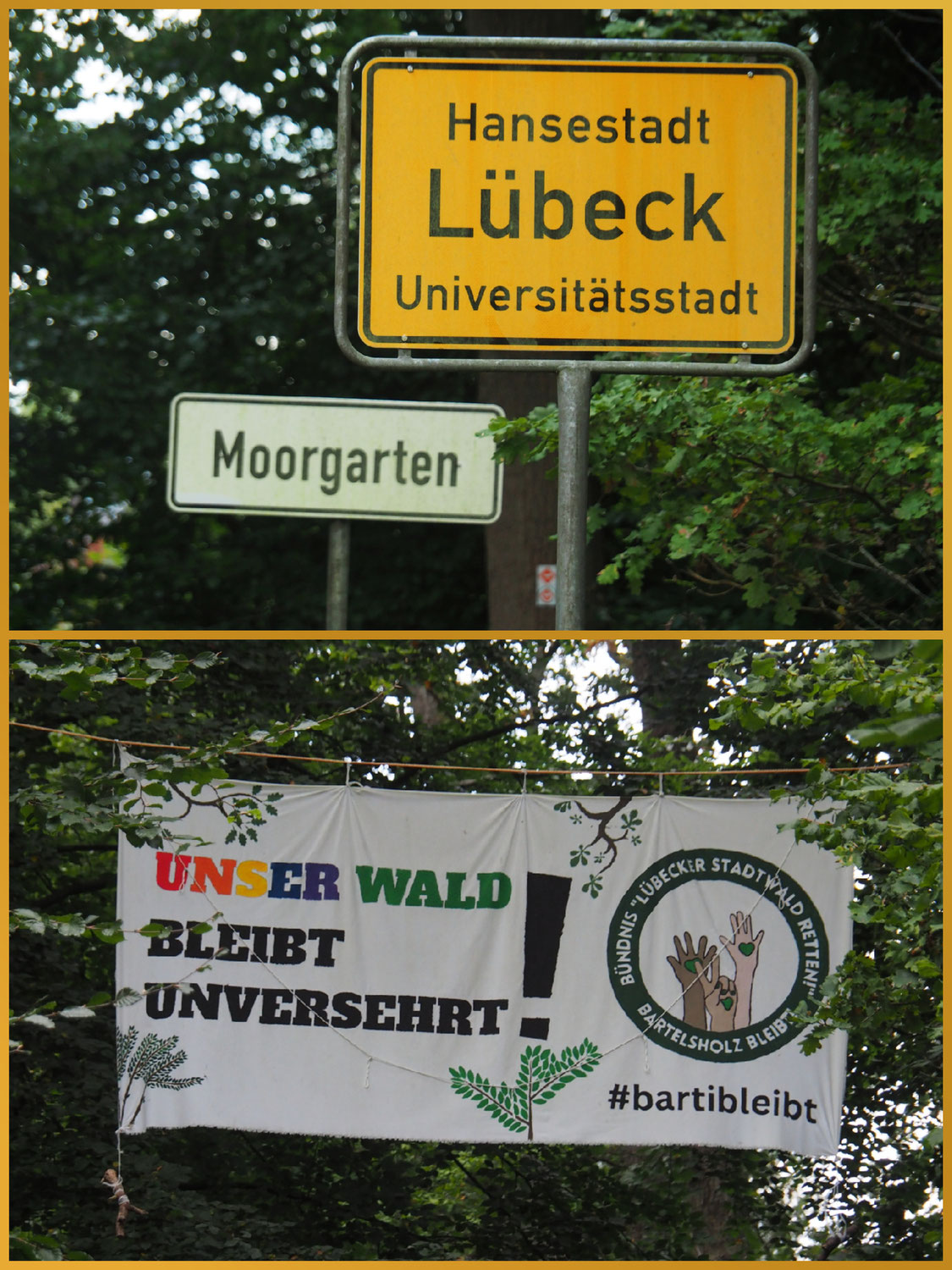 Lübecker Stadtwald retten!