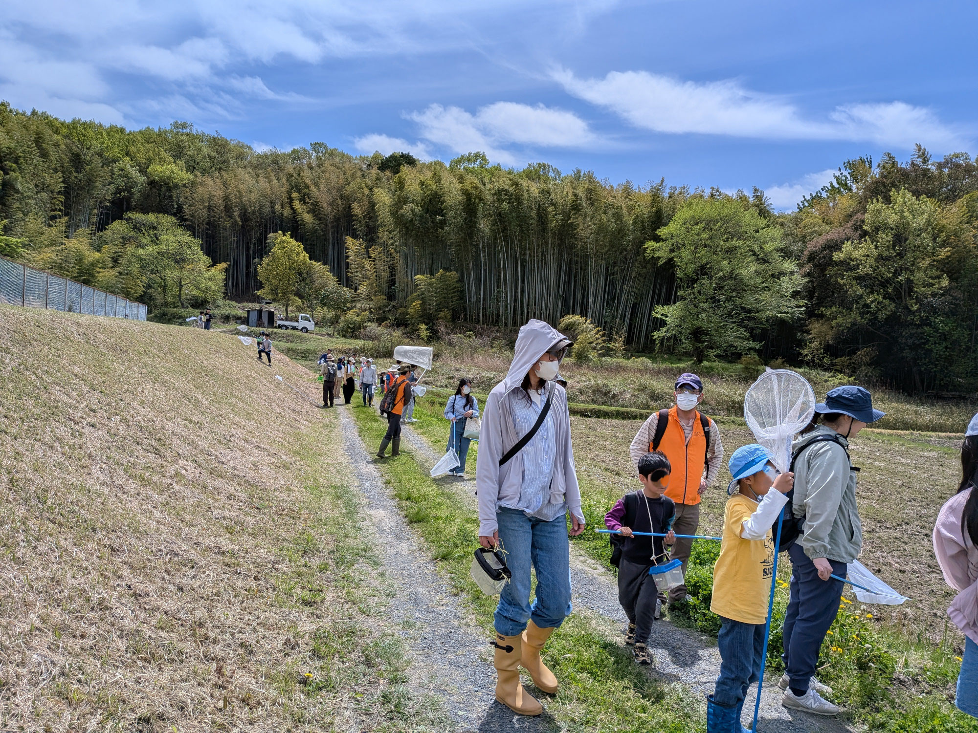 春の里山で昆虫をみつけよう