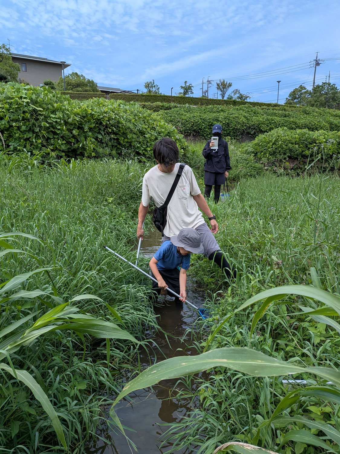 はじめてのガサガサ（夏）